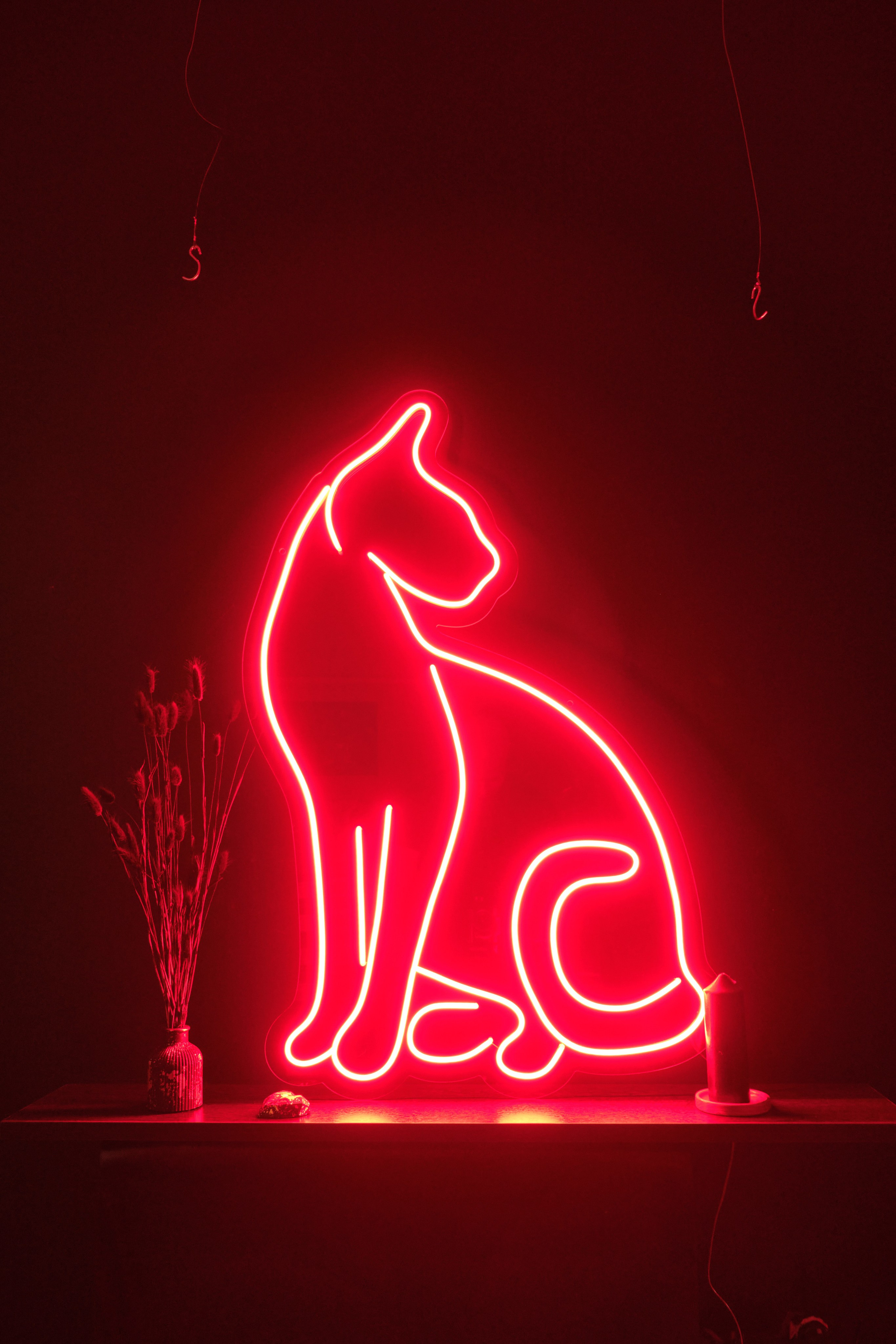 Предметка, неон. Репортажная фото и видеосъемка в Москве под ключ