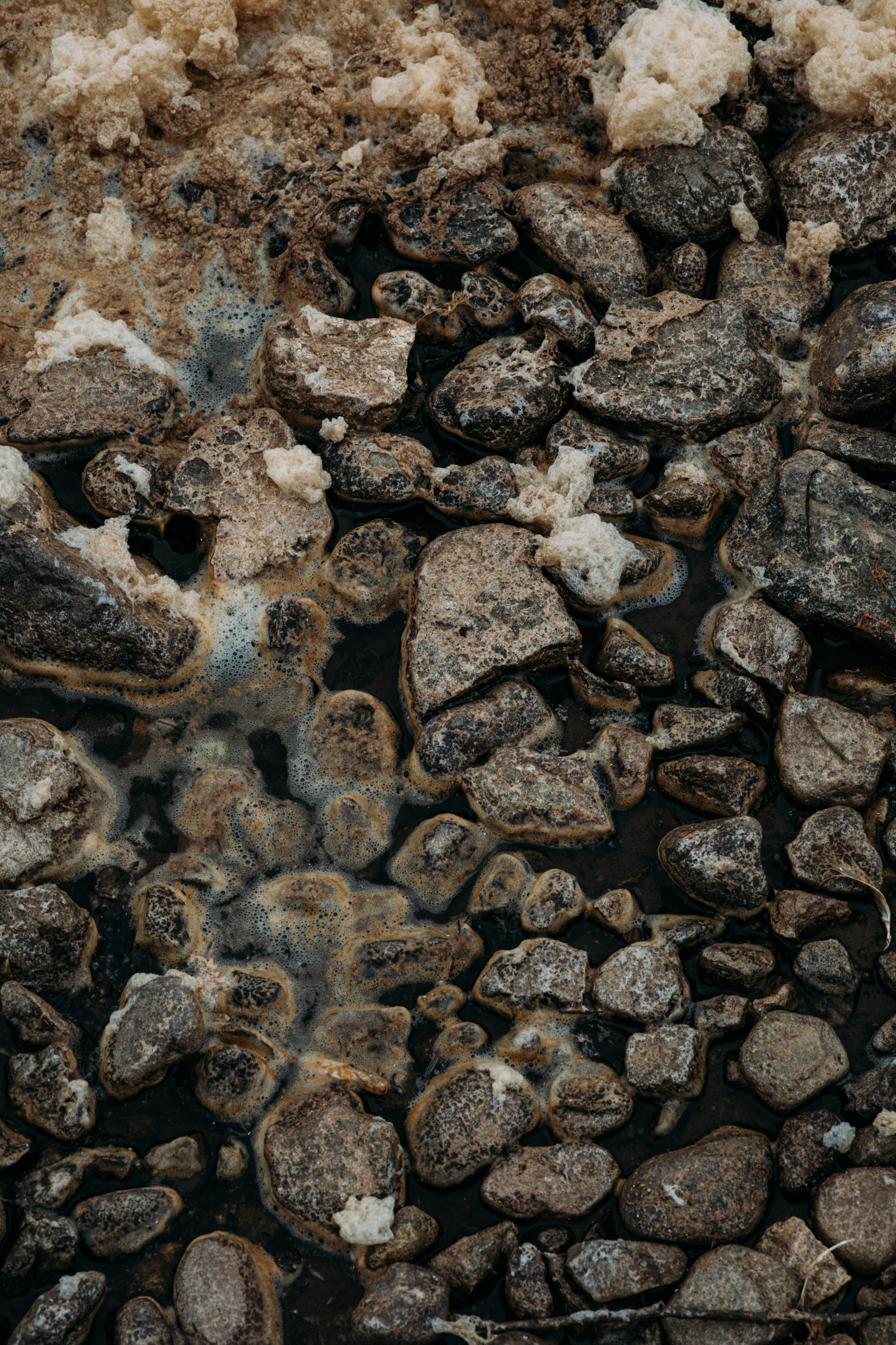 Portfolio. @beingabird.photography