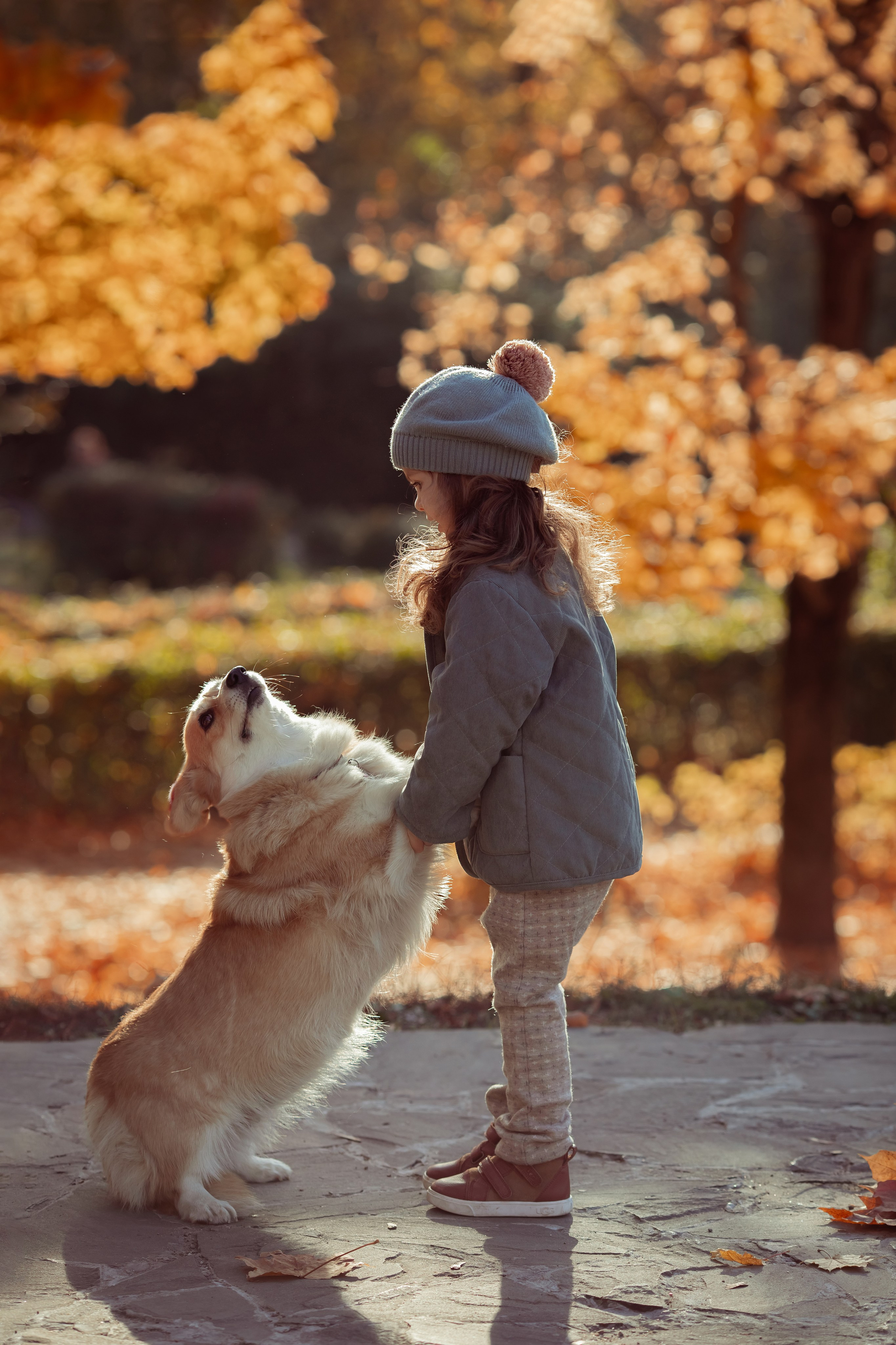 Эва с корги. Семейный и детский фотограф в Москве Дорогова Екатерина