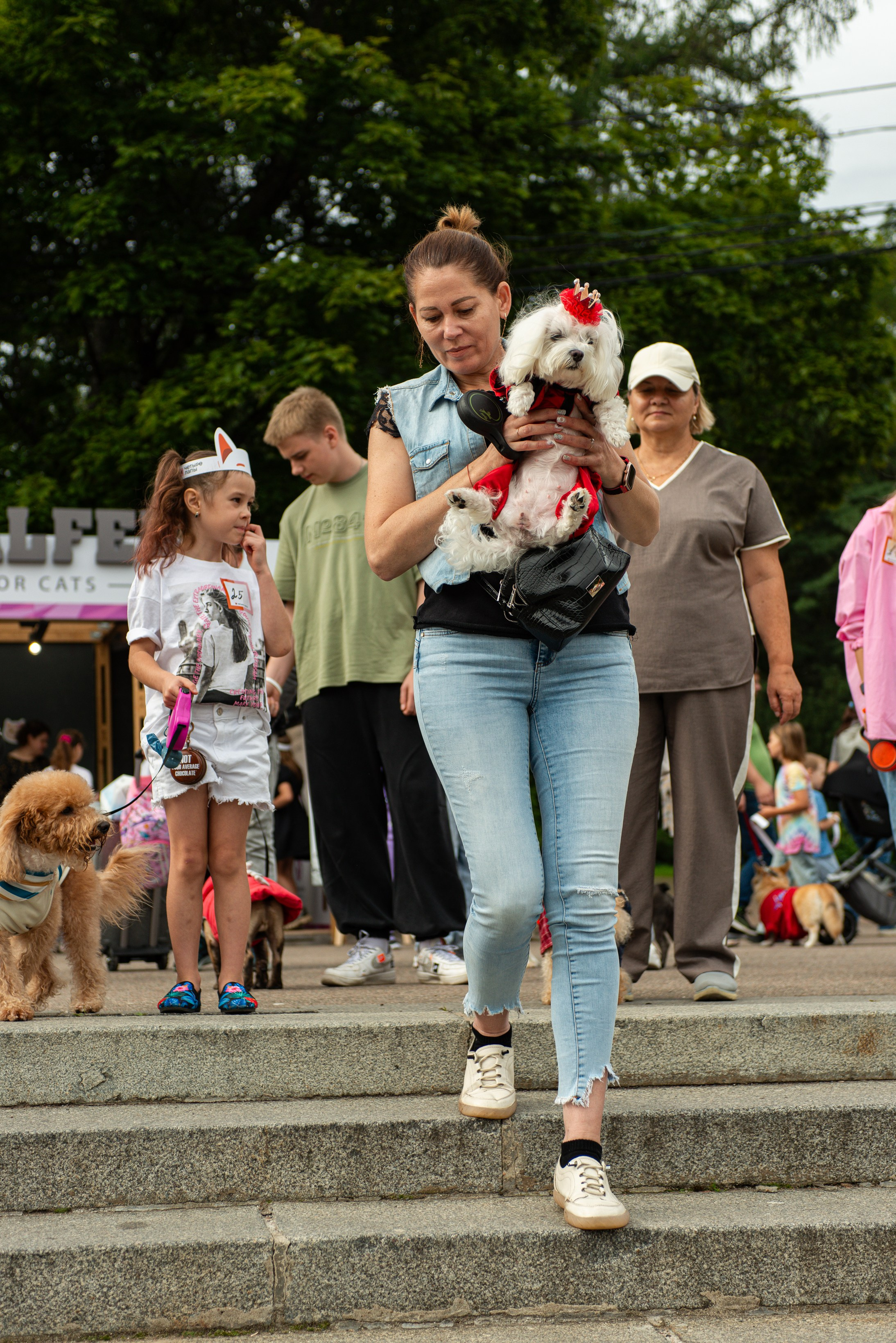Репортажная съёмка фестиваля 4 лапы. Репортажный и персональный фотограф в Москве