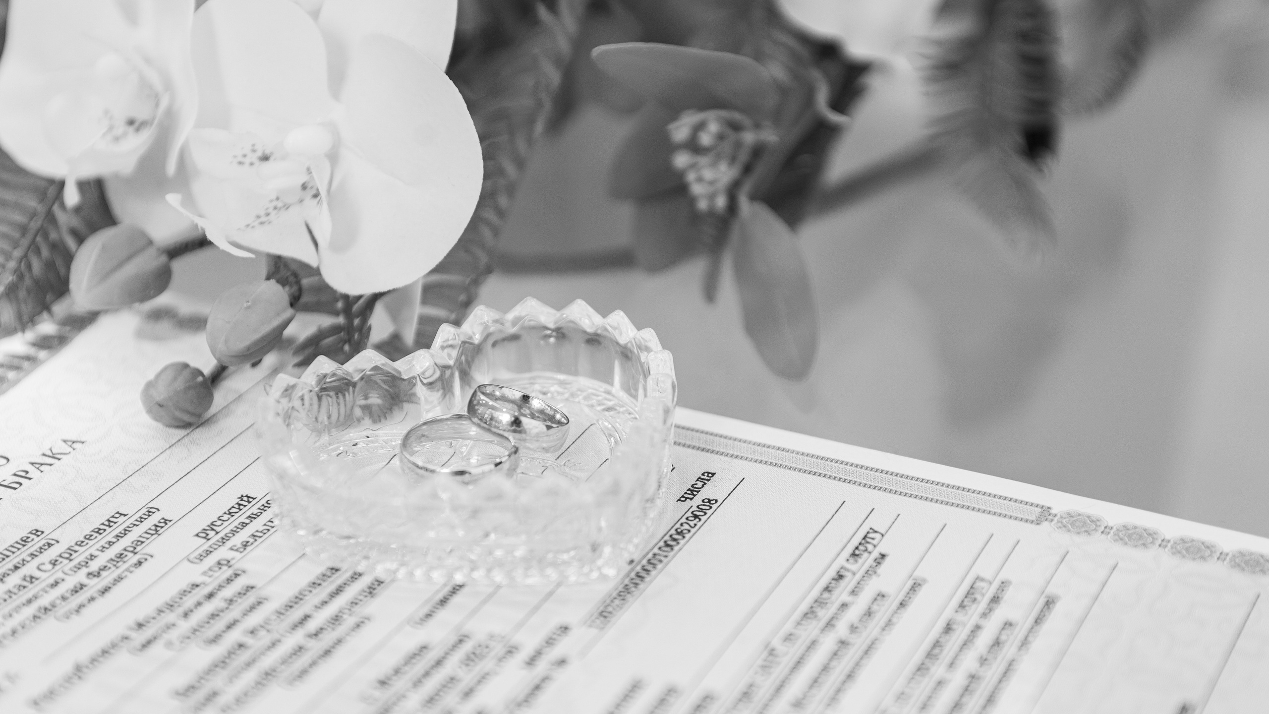 Роспись Валерии и Николая. Репортажный и персональный фотограф в Москве