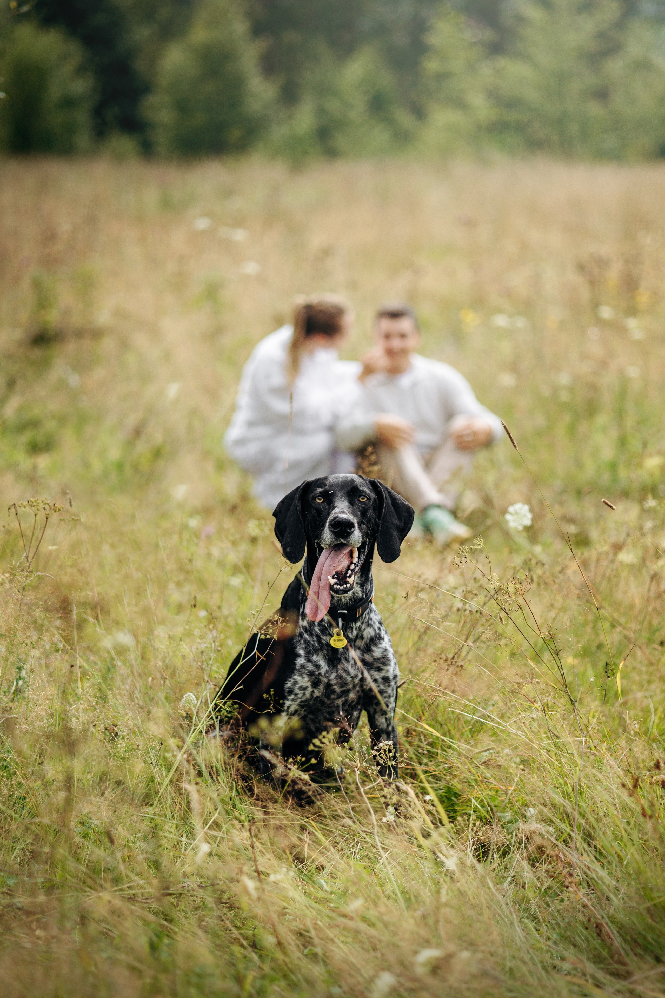 Хеликс и его семья. Фотограф — Анималист | Санкт-Петербург