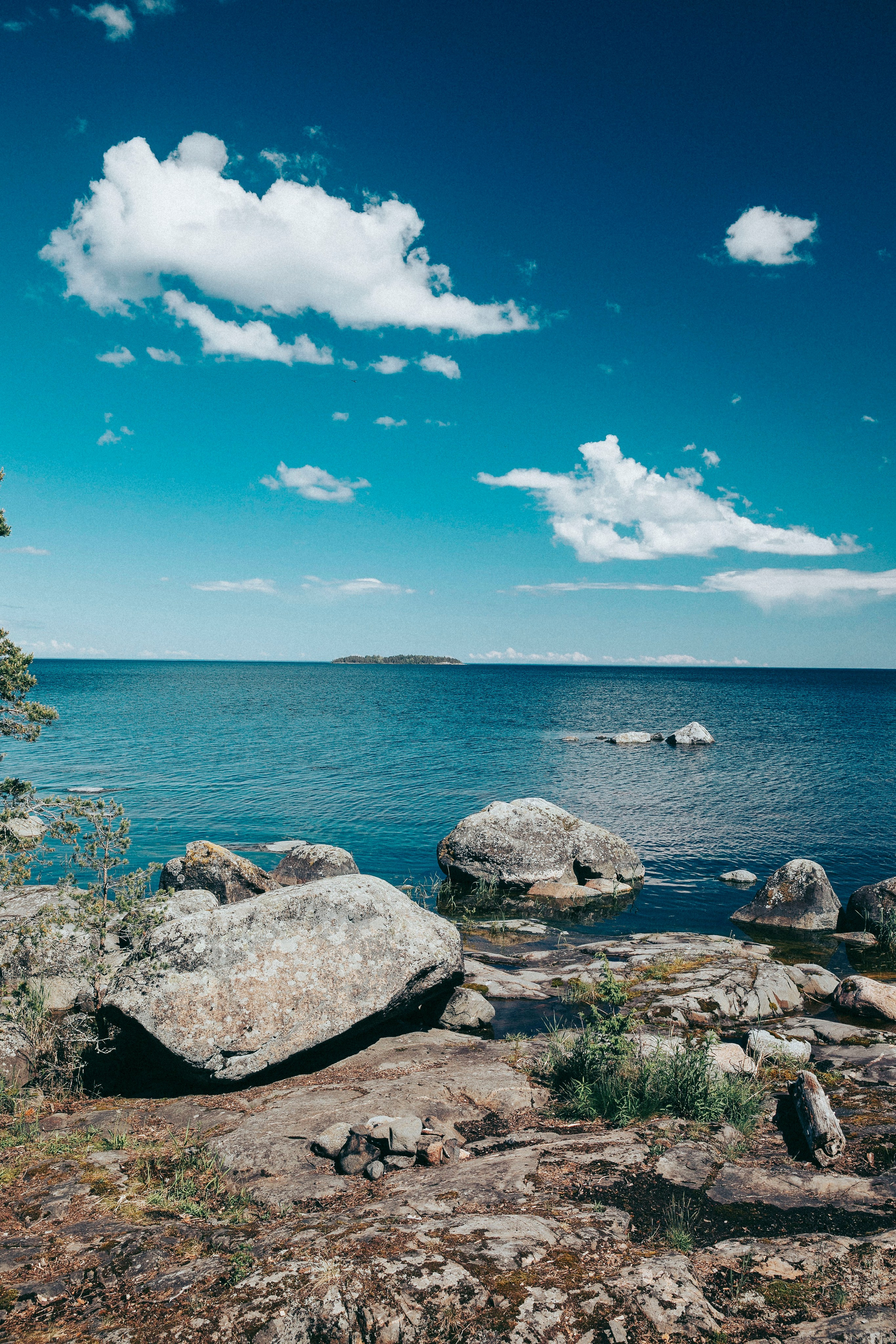 Папа и дочка. Фотограф в Москве Шаганова Нина