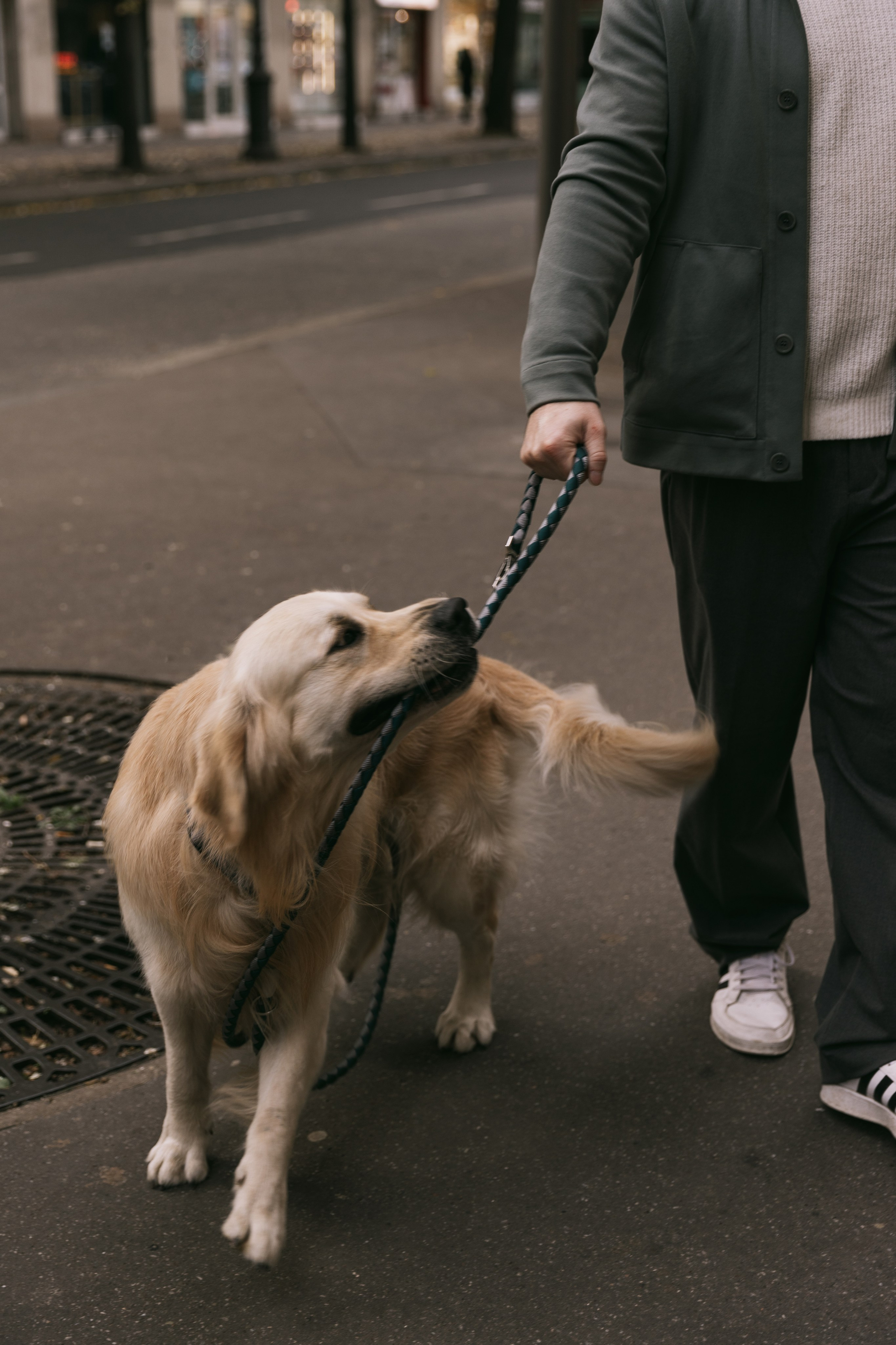 C’est entre nous. Photographe à Paris
