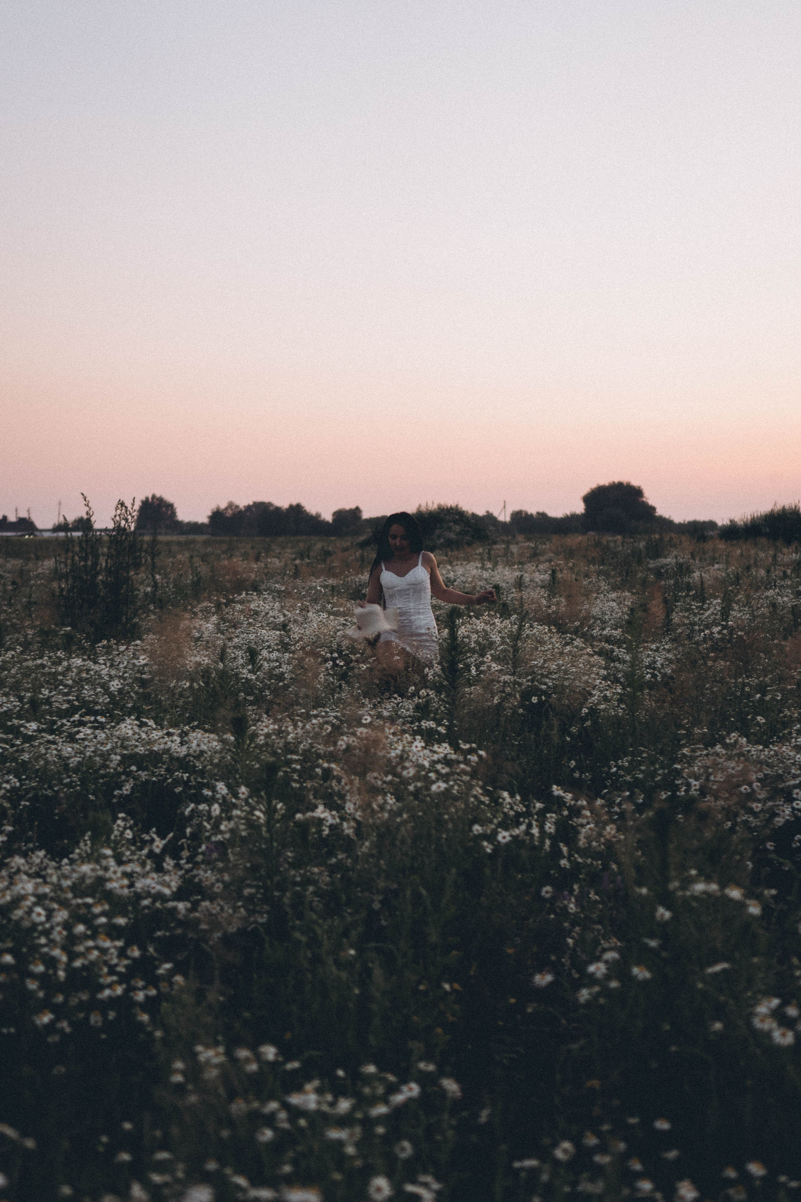 Ромашковое поле. Профессиональный фотограф, Санкт-Петербург — Виктория Богомолова
