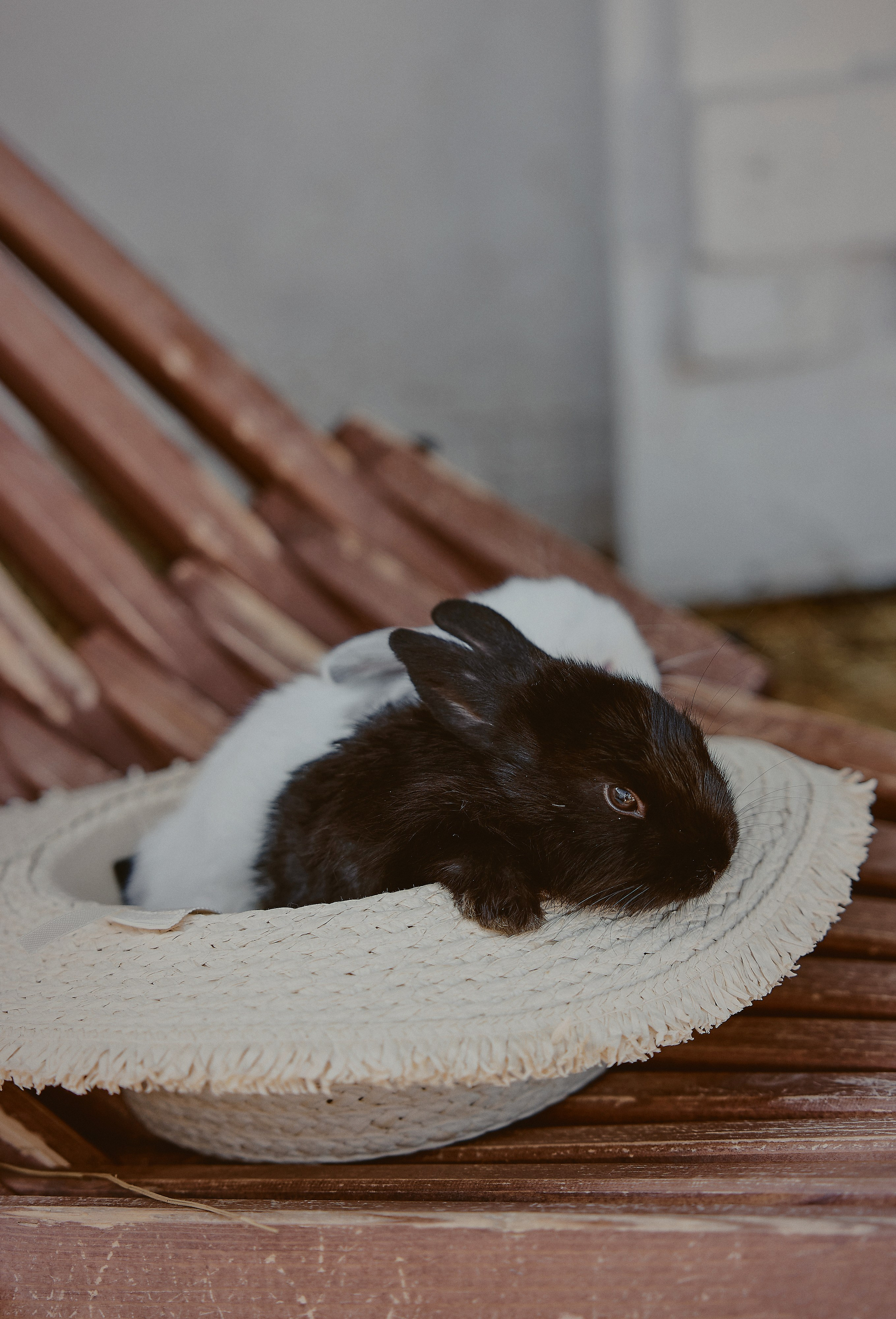 25|05|23. Анастасия Марунич | Блогер | Ставрополь