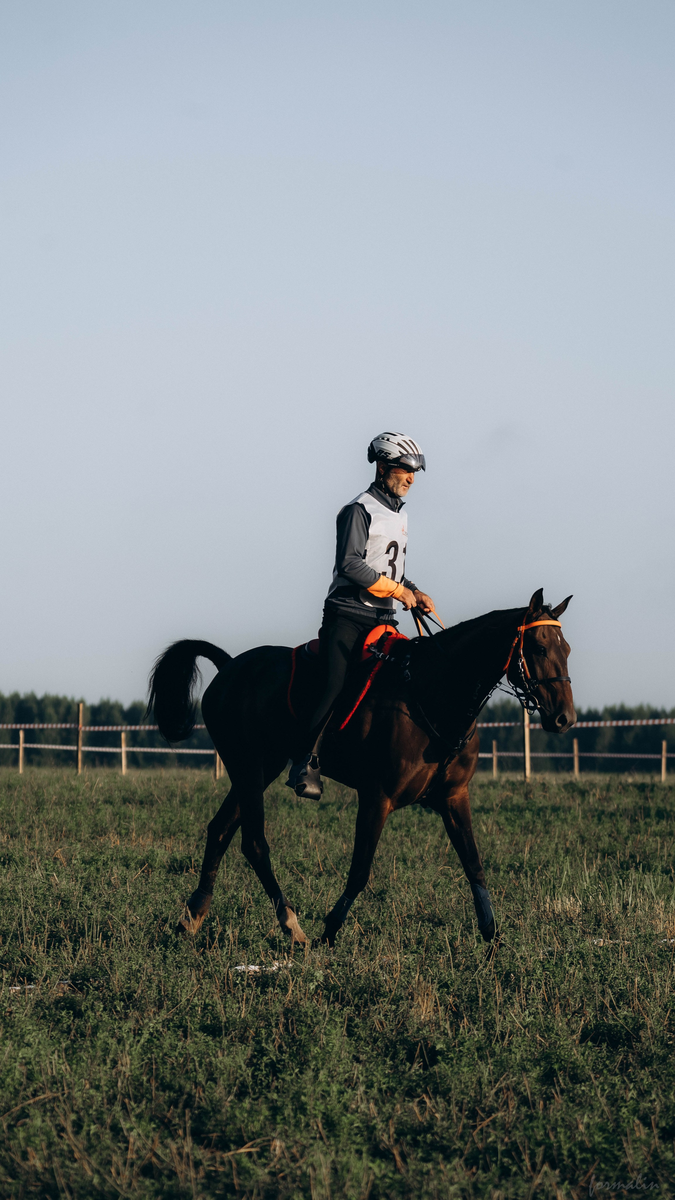 День Коня. Алиса Никитцова | Фотограф в Казани