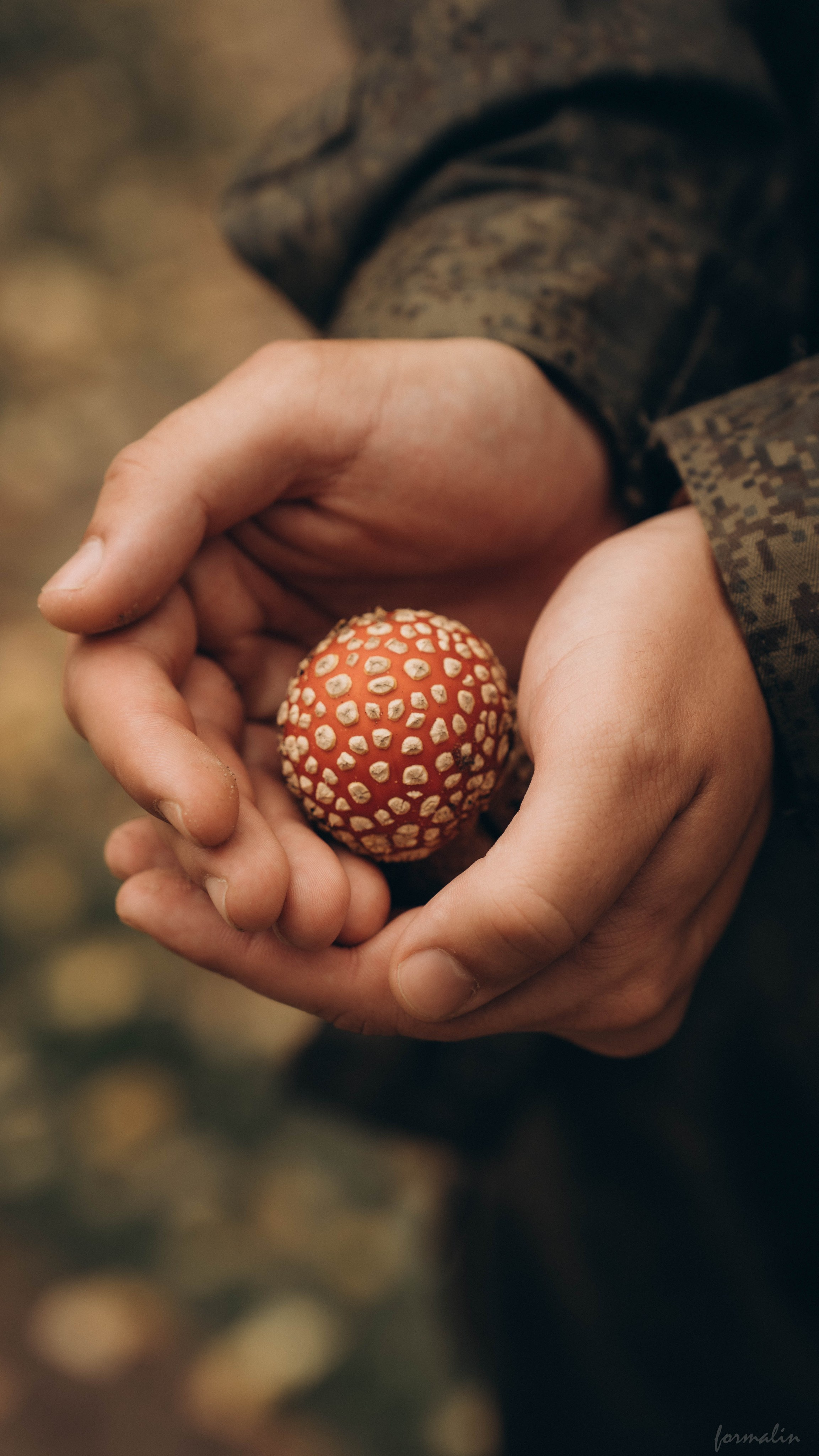 Фестиваль поисковых отрядов РТ 2025. Алиса Никитцова | Фотограф в Казани