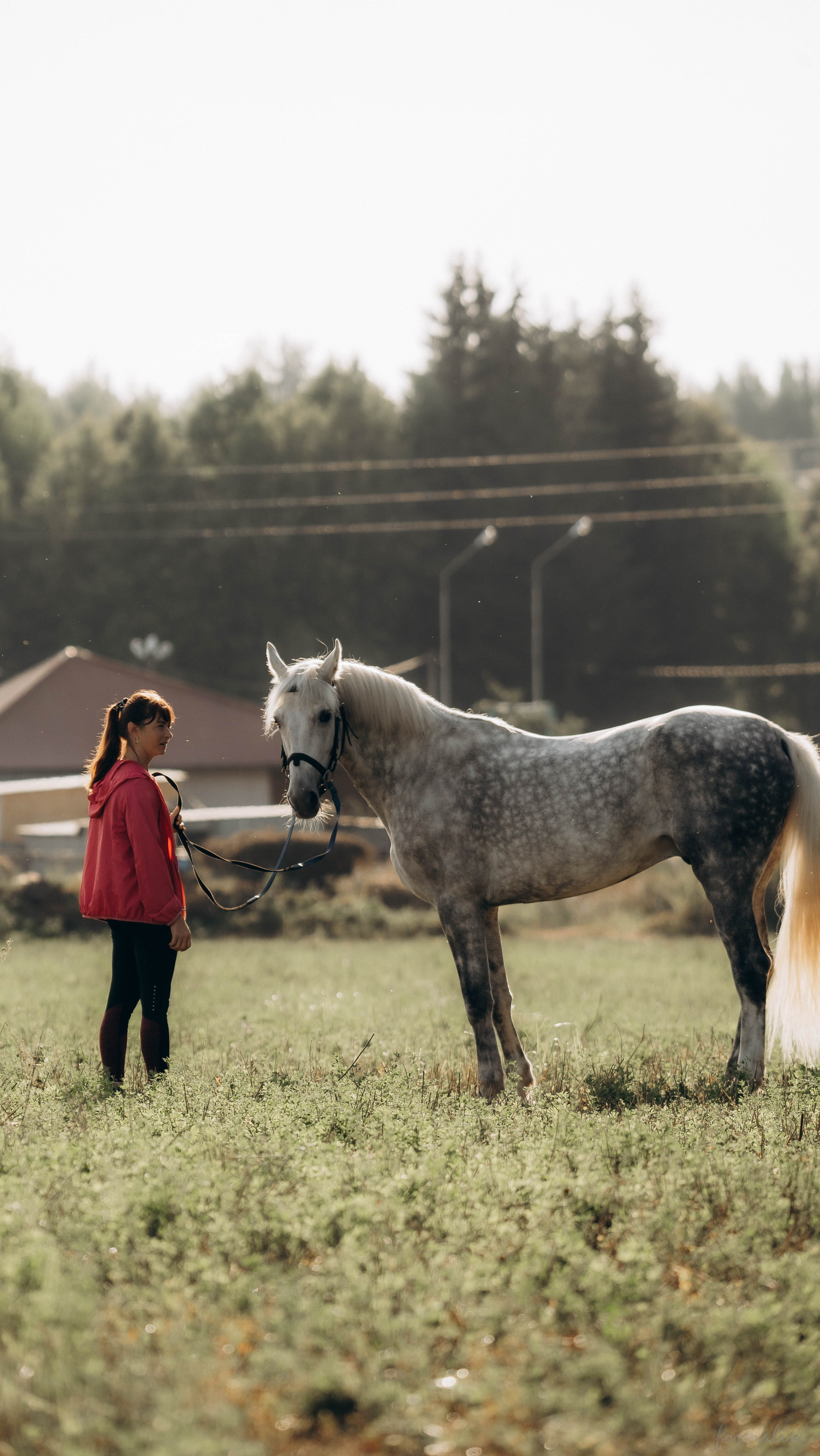 День Коня. Алиса Никитцова | Фотограф в Казани