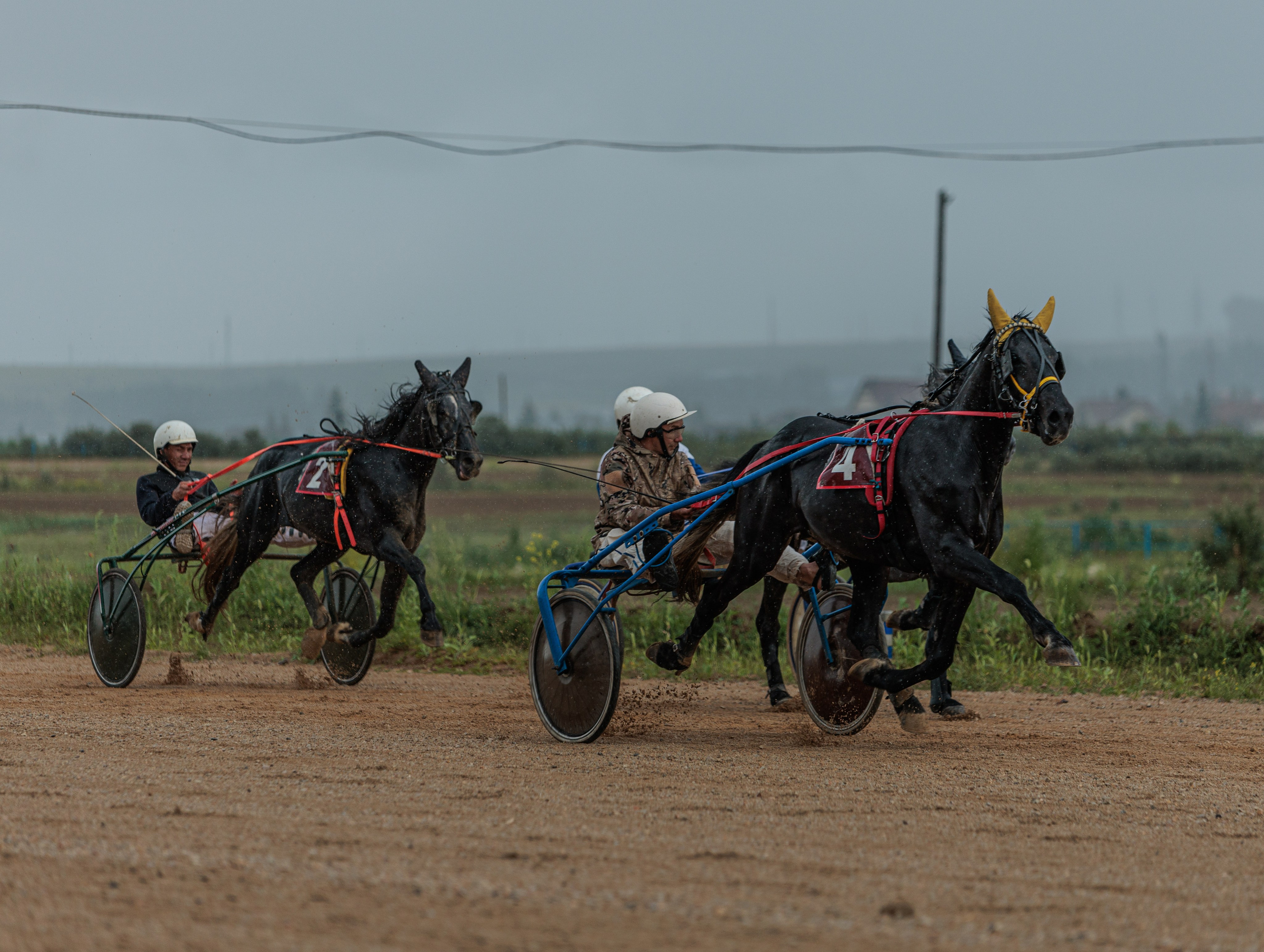 2025. Конный фотограф в Красноярске — Любовь Похабова