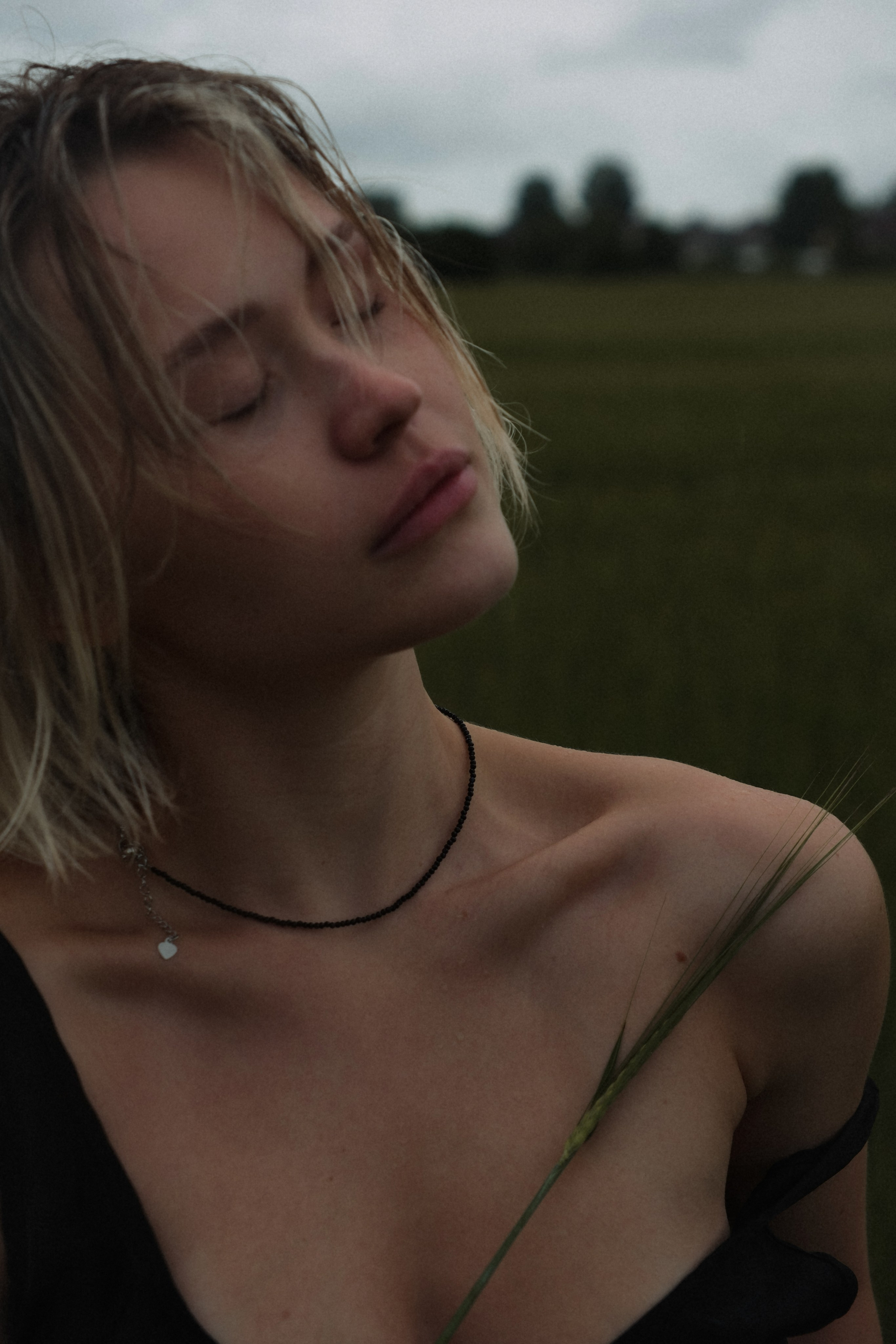 Шанси. ФОТОГРАФ ssbelova