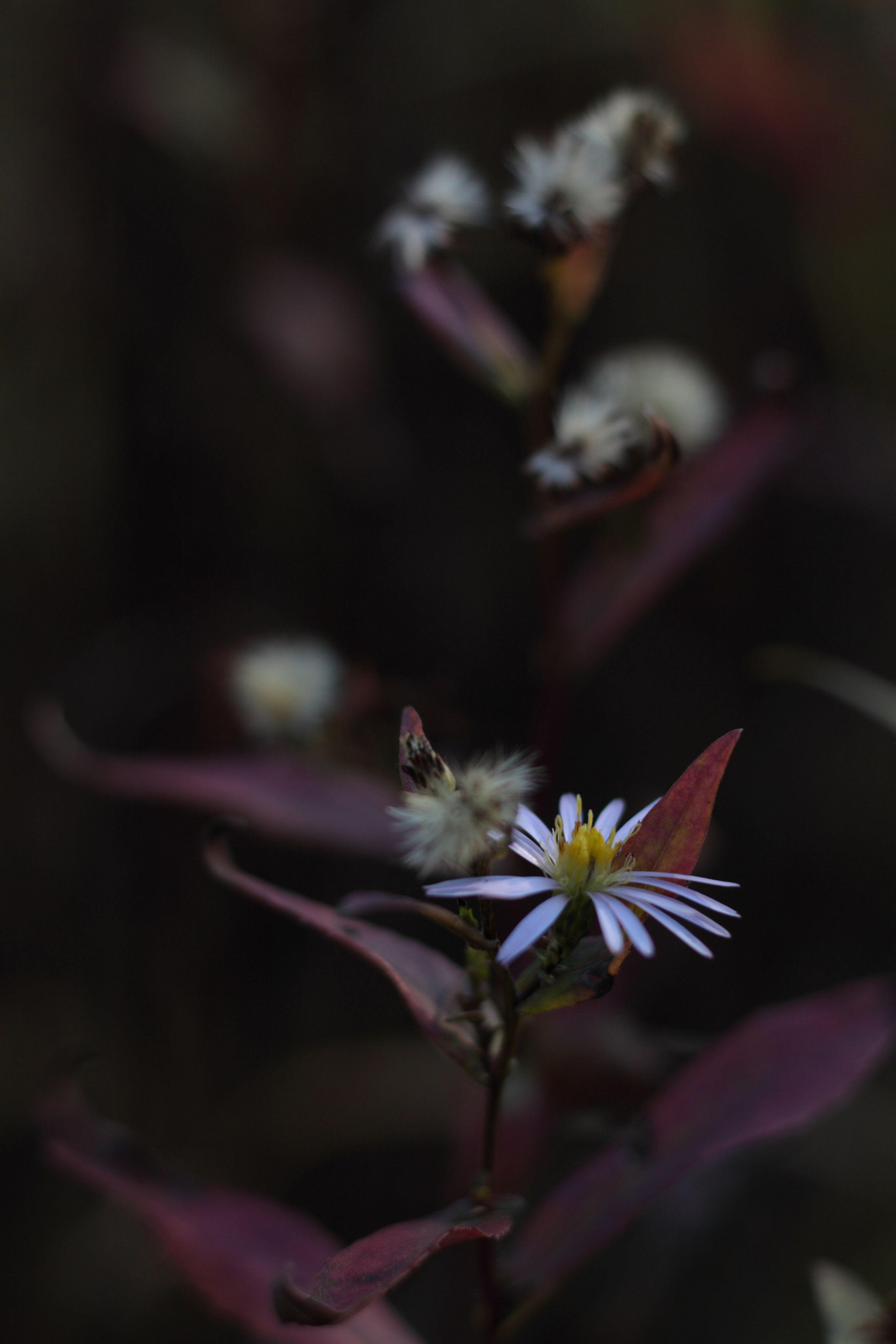 Старое природное, отбирала Katamount (Катерина Горохова). Главная