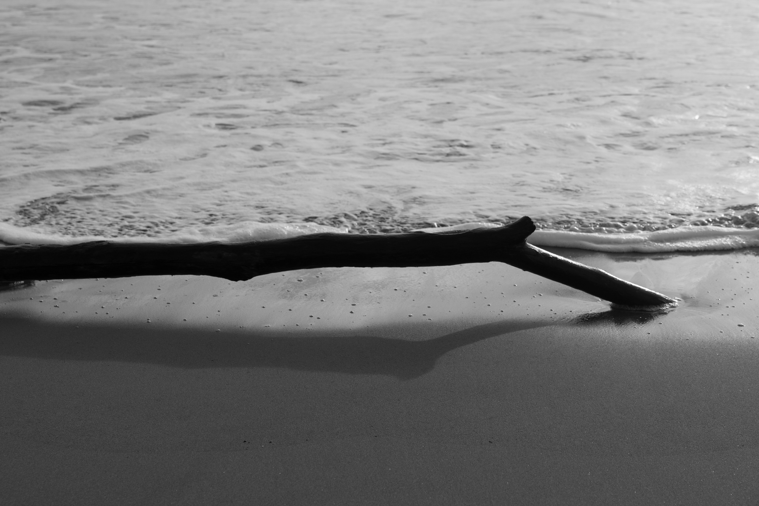 Art prints. Фотограф алина стерхова, алина стерхова фотограф, фотограф москва