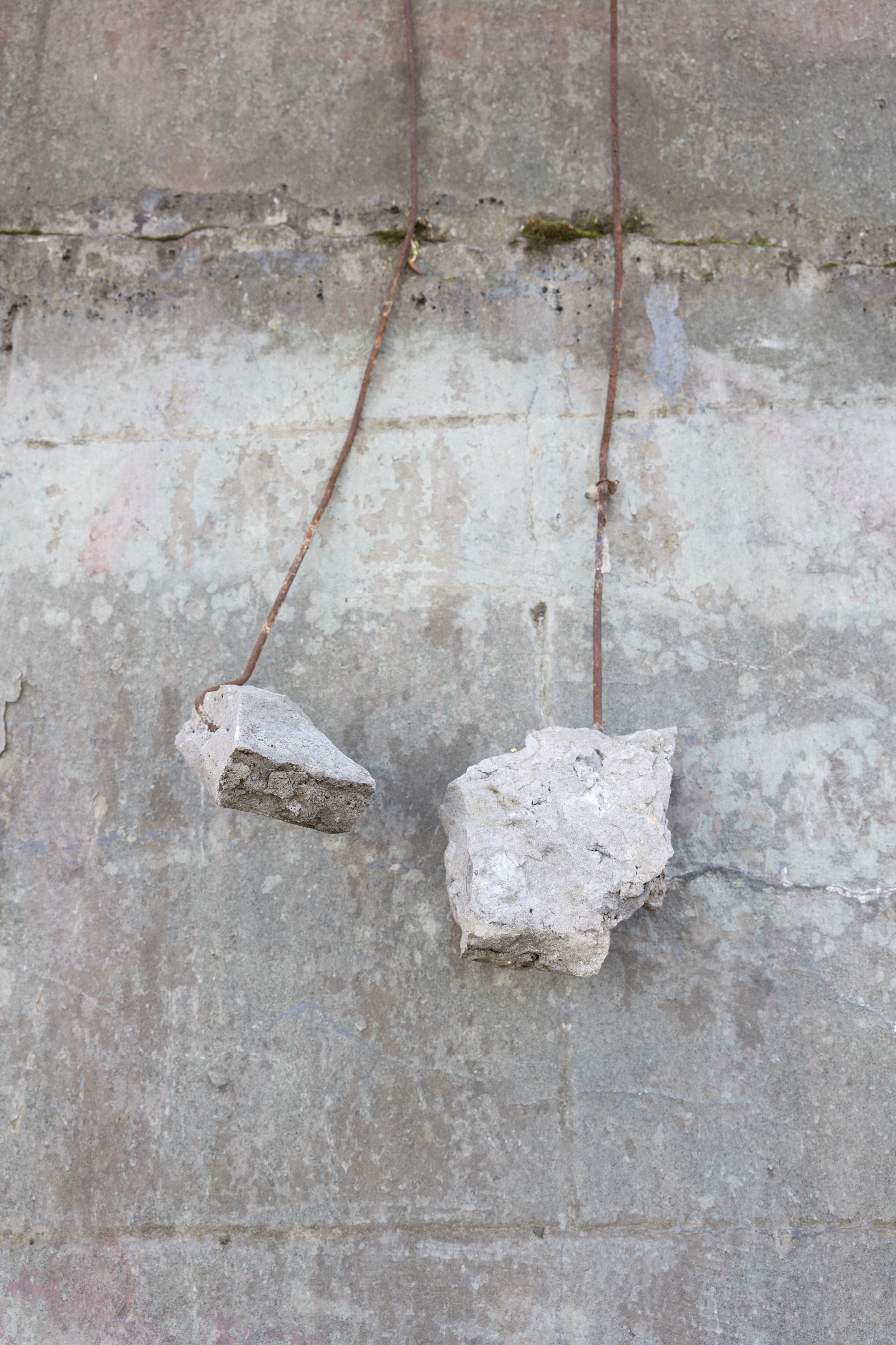 Art prints. Фотограф алина стерхова, алина стерхова фотограф, фотограф москва