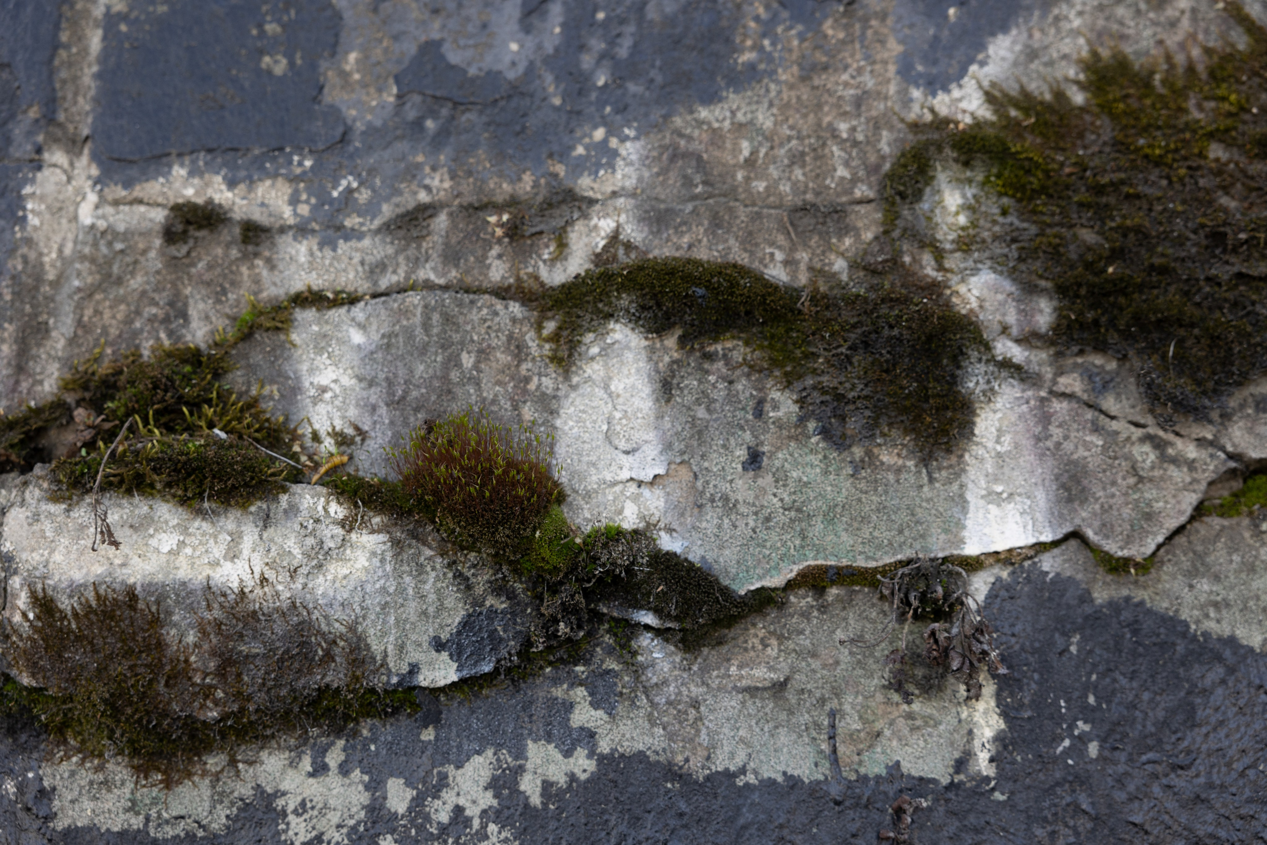 Art prints. Фотограф алина стерхова, алина стерхова фотограф, фотограф москва