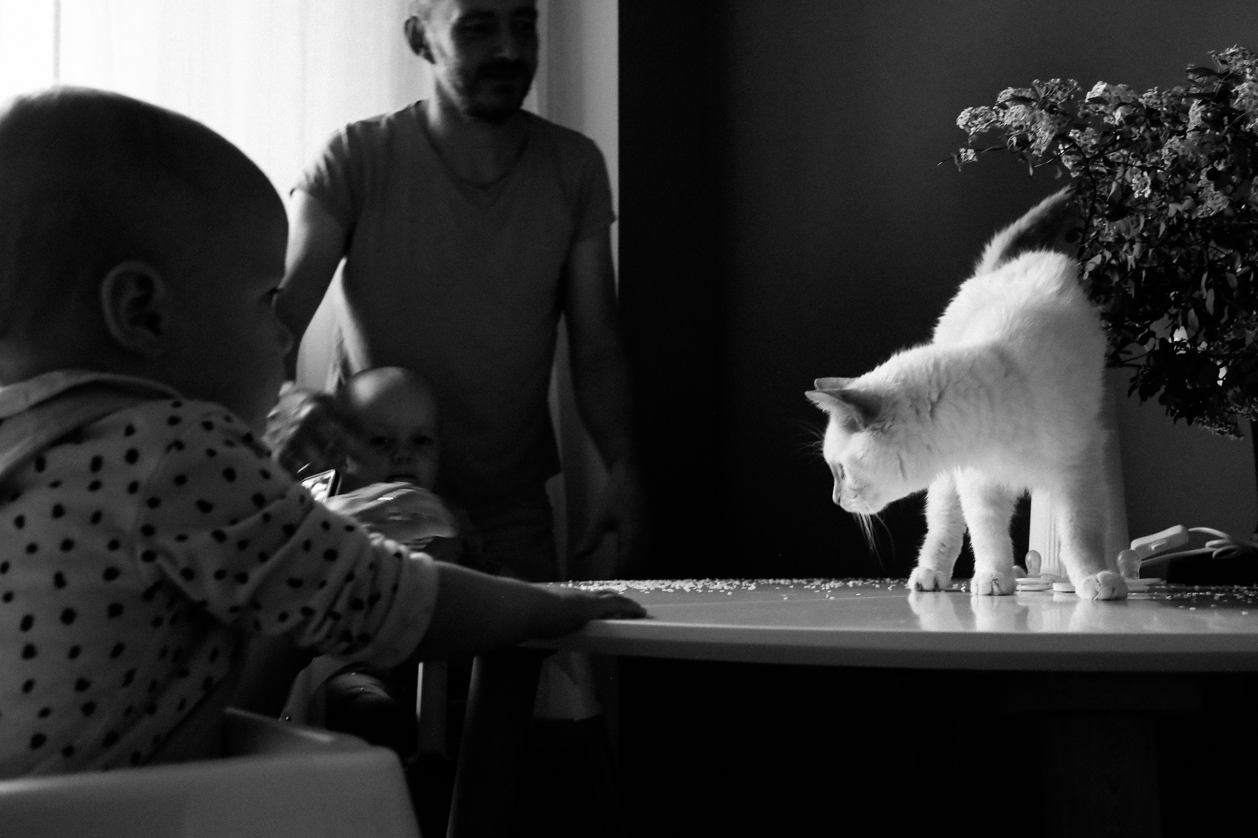 Тройняшки. Детский семейный фотограф в Москве Светлана Микадзе