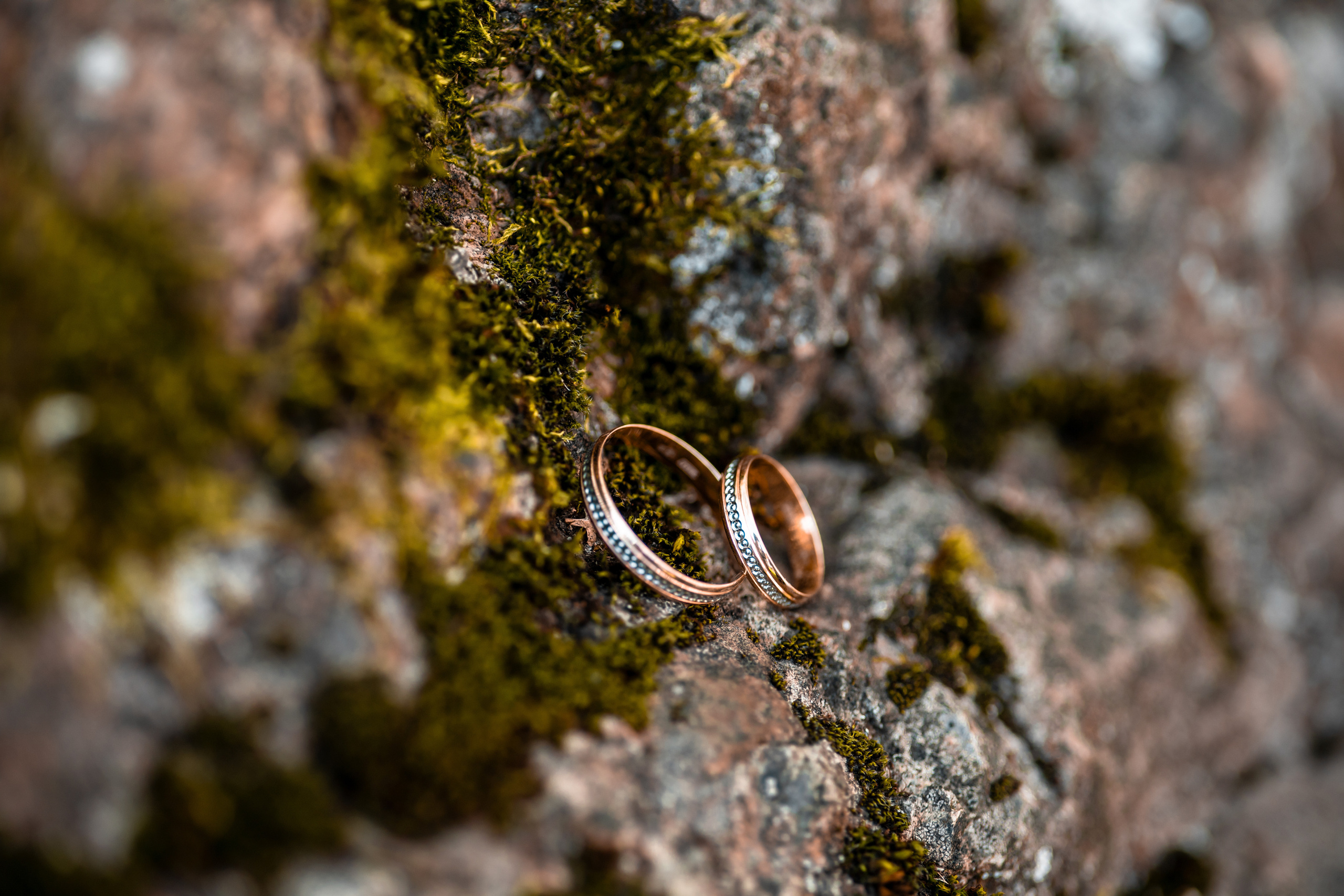 Свадьбы. Фотограф в Петрозаводске BellaDonna