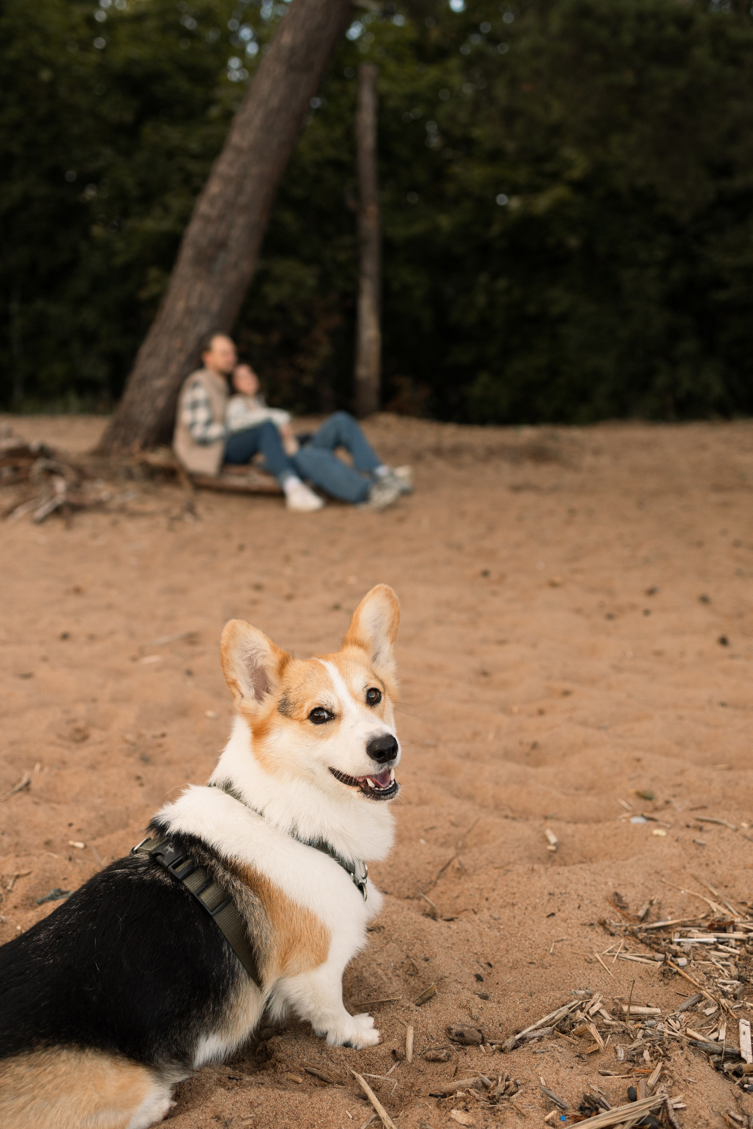 Любовь на Заливе. Портретный фотограф СПб, женский фотограф, минимализм и эстетика