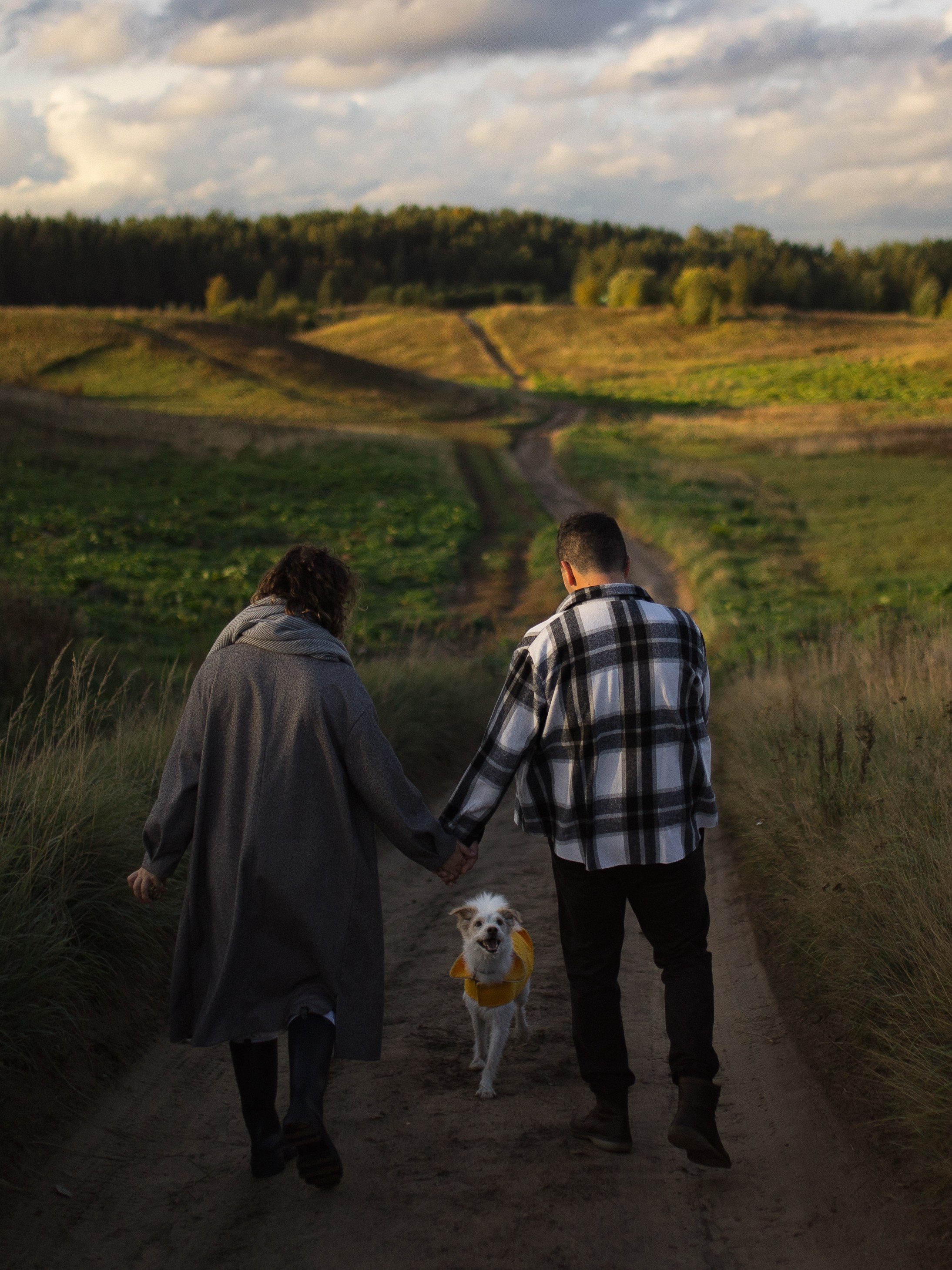 Трое, считая собаку. Wed Photographers 📷 Saint Petersburg