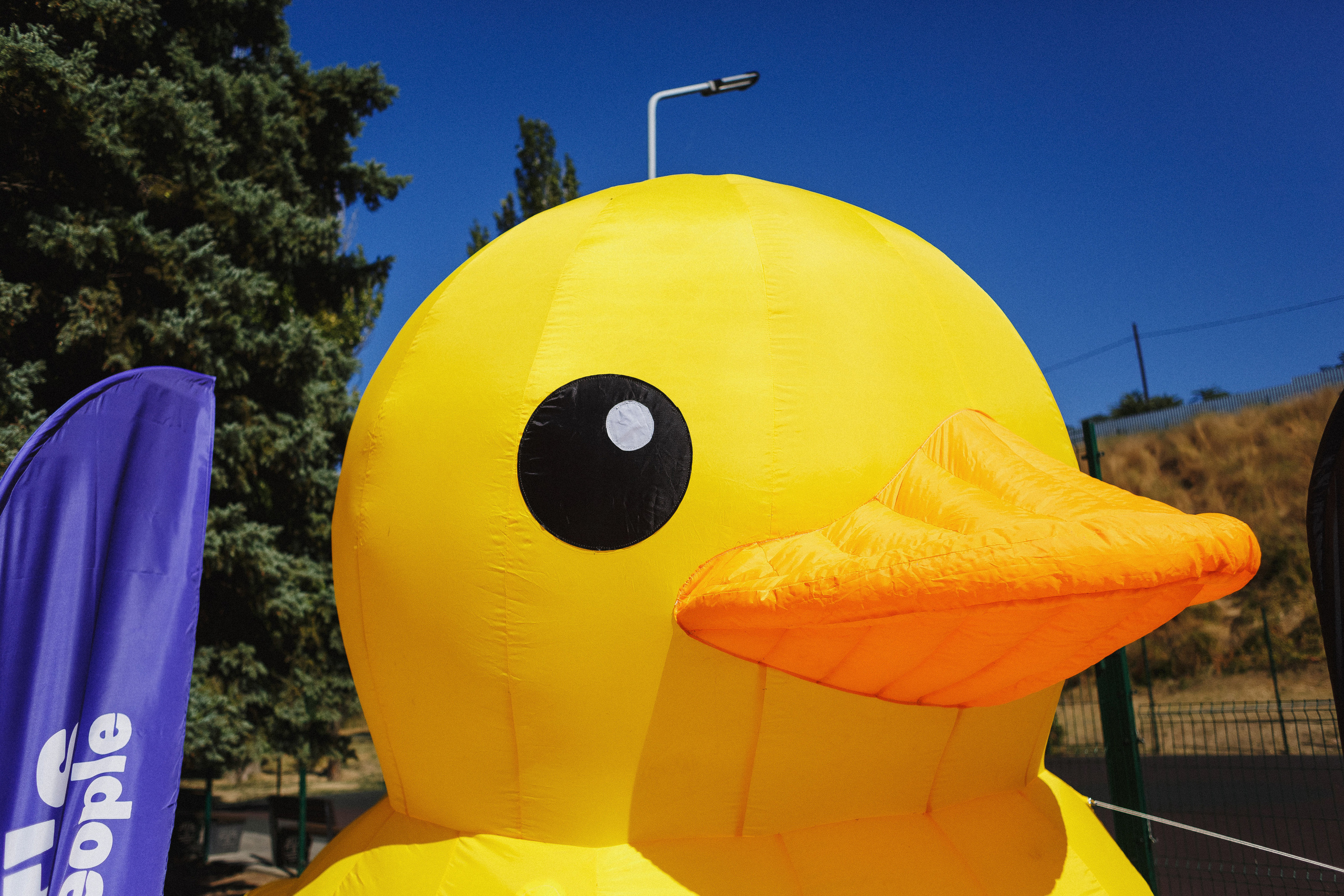 Атмосфера BRAINFEST: Фотографии фестиваля в Приморском парке Таганрога. Свадебный и семейный фотограф в Таганроге Бакарюк Антон