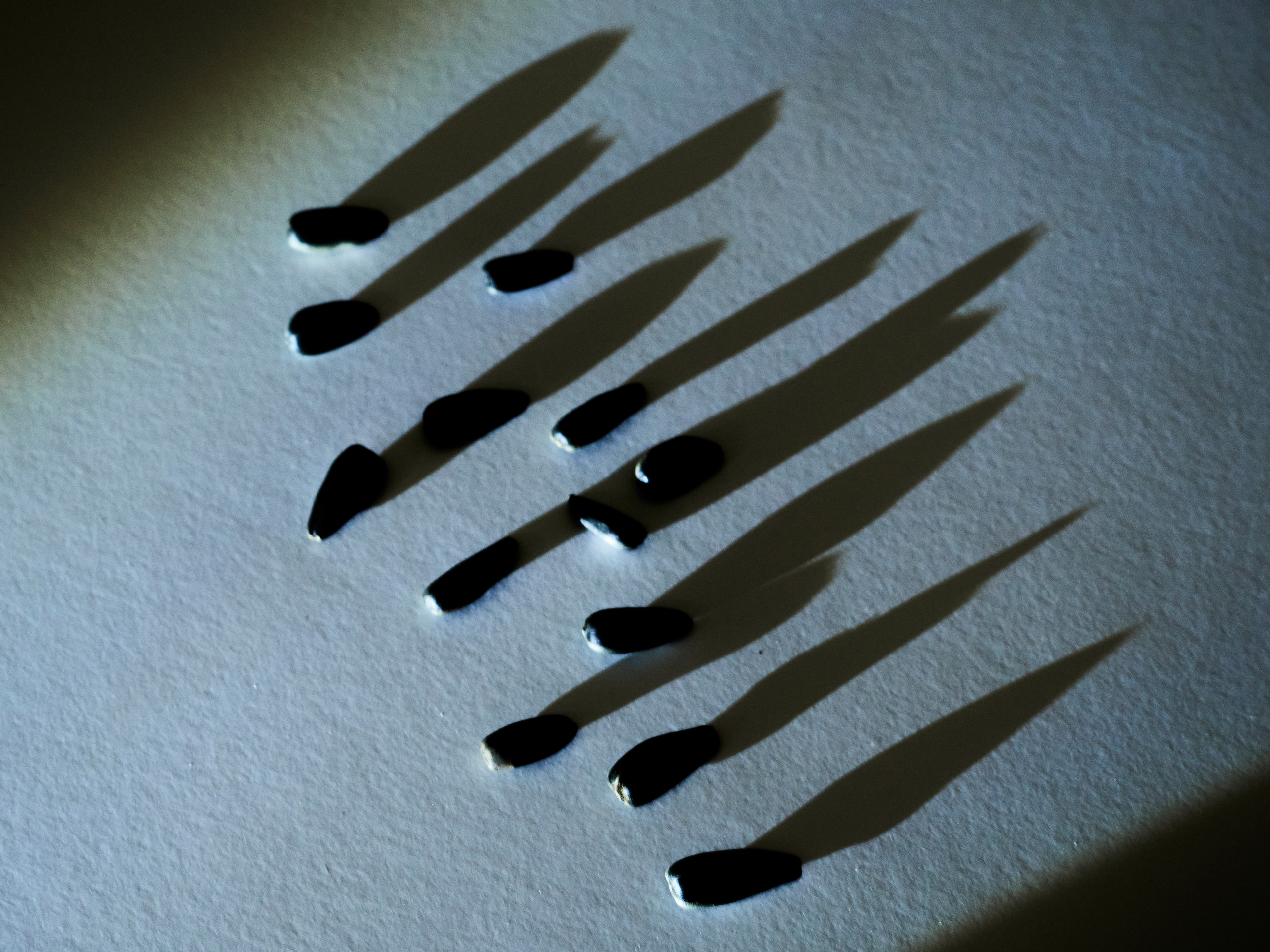 ПРЕДМЕТНАЯ ФОТОСЕССИЯ. Меня зовут ОЛЬГА. Я ПЕРСОНАЛЬНЫЙ ФОТОГРАФ, МОСКВА