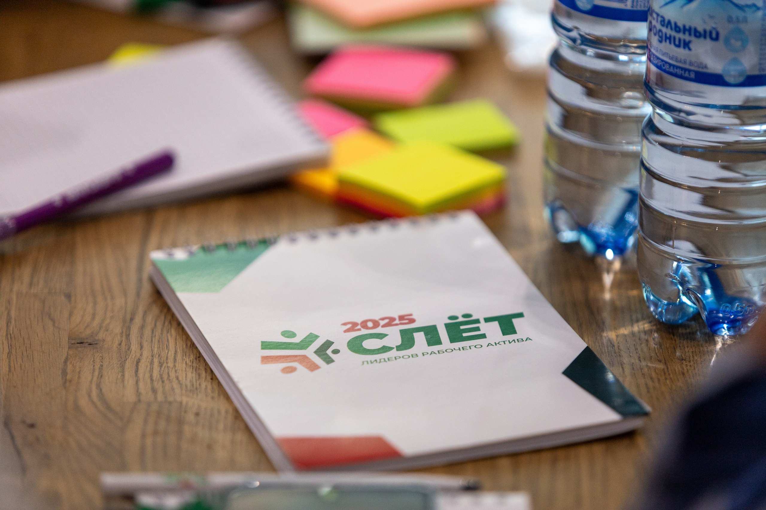 ЭФКО. СЛЁТ ЛИДЕРОВ РАБОЧЕГО АКТИВА. ДЕНЬ 3. Репортажный фотограф Анапа