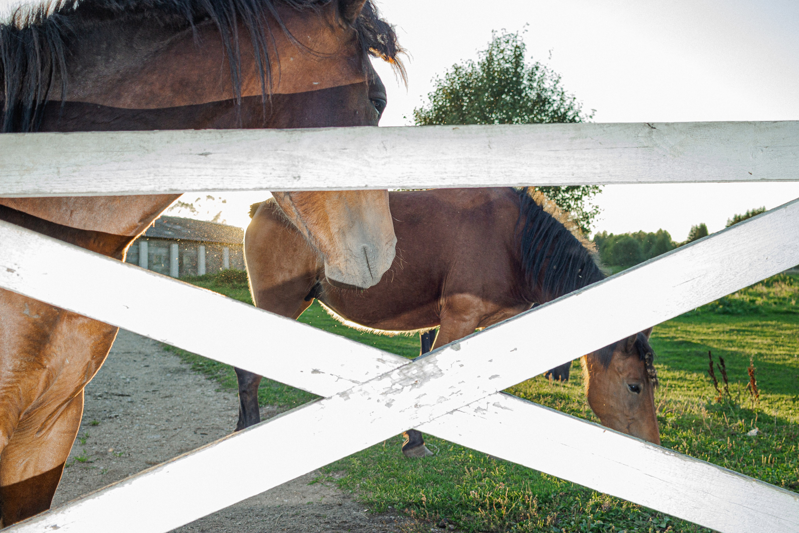 Стрит на каждый день