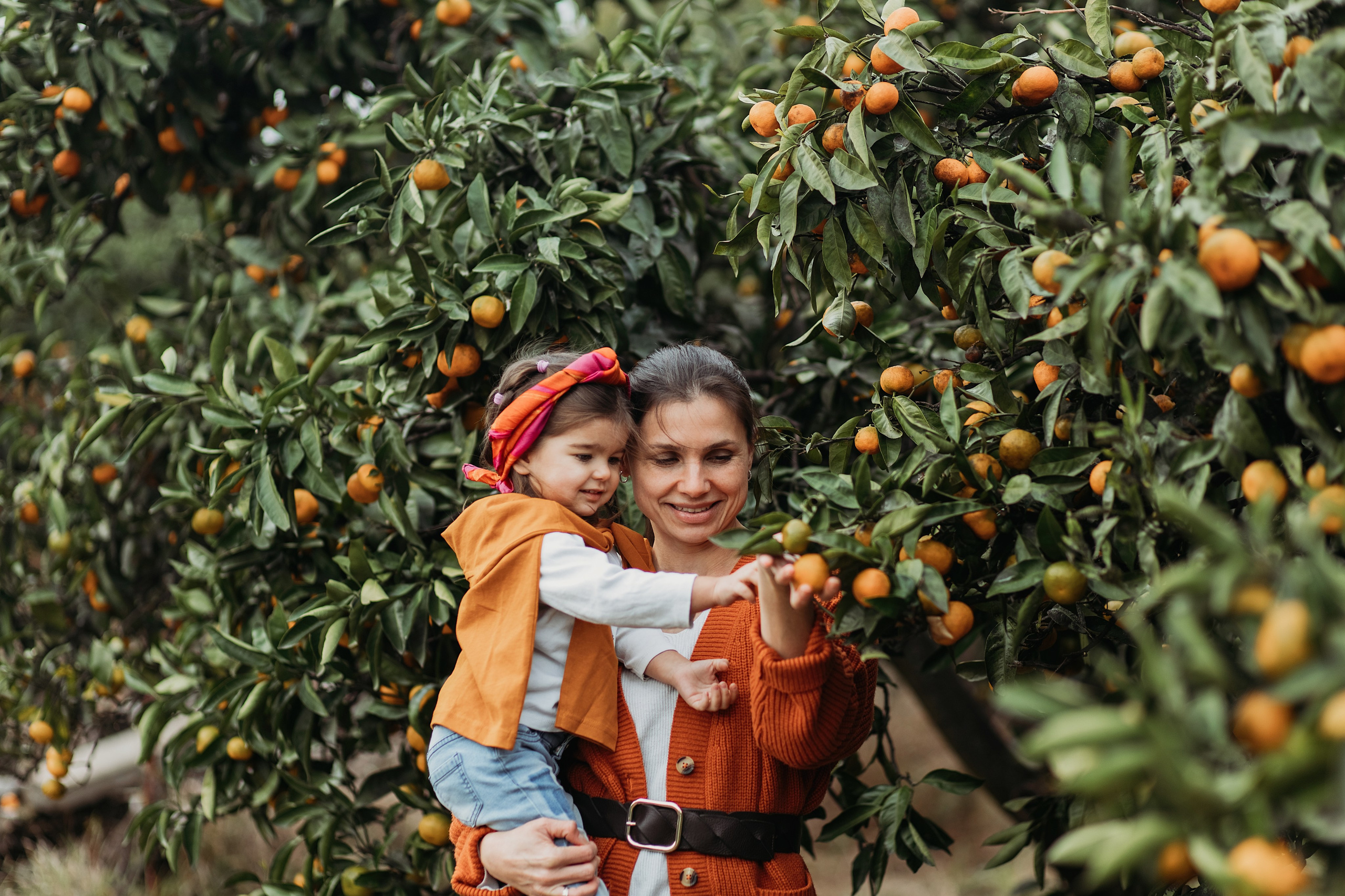 Мандариновая роща. Фотограф Сочи Татьяна Зорина
