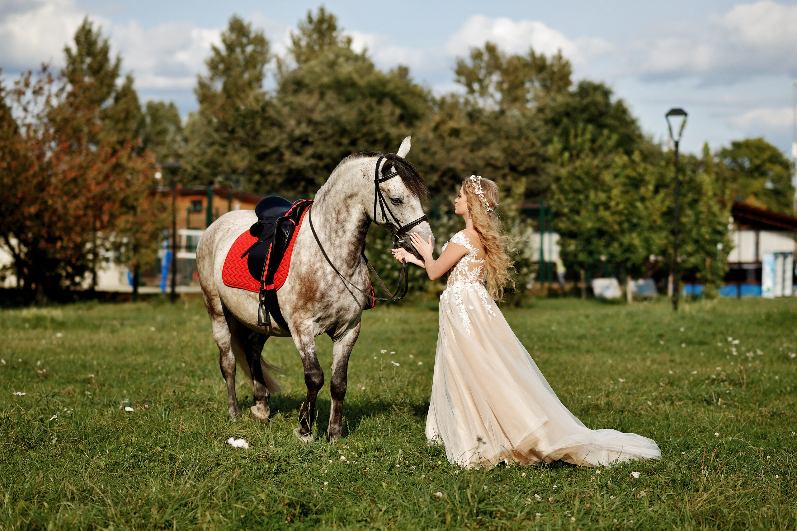 свадебная фотосессия серебряный бор, выездная фотосессия, серебряный бор, съемка с животными, съемка с лошадьми