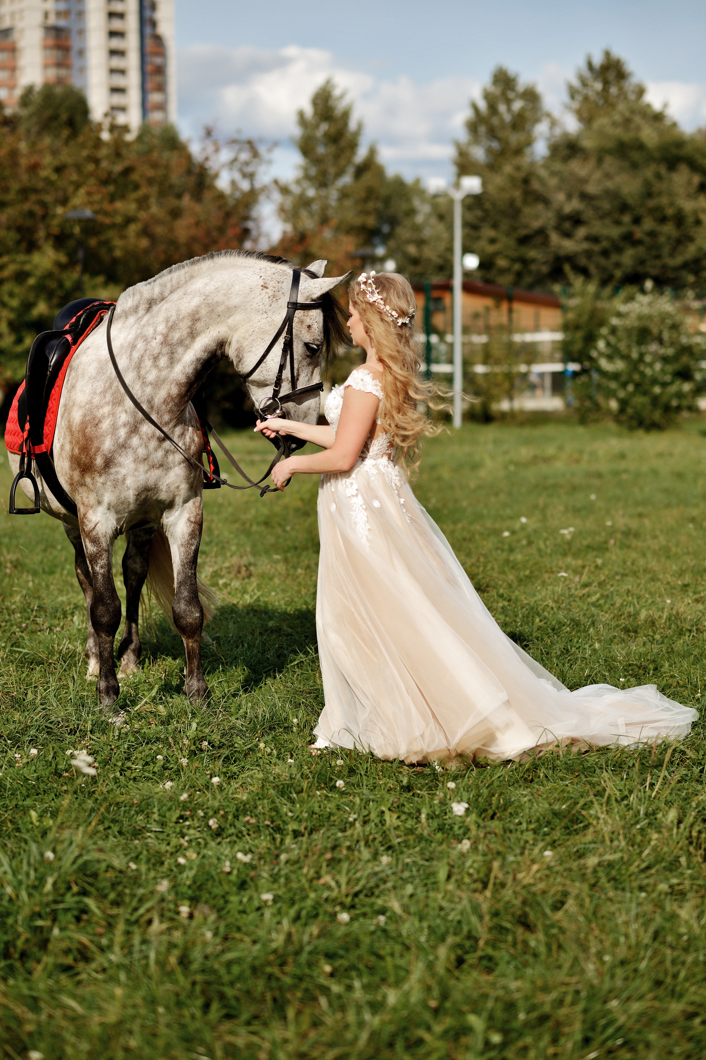 свадебная фотосессия серебряный бор, выездная фотосессия, серебряный бор, съемка с животными, съемка с лошадьми