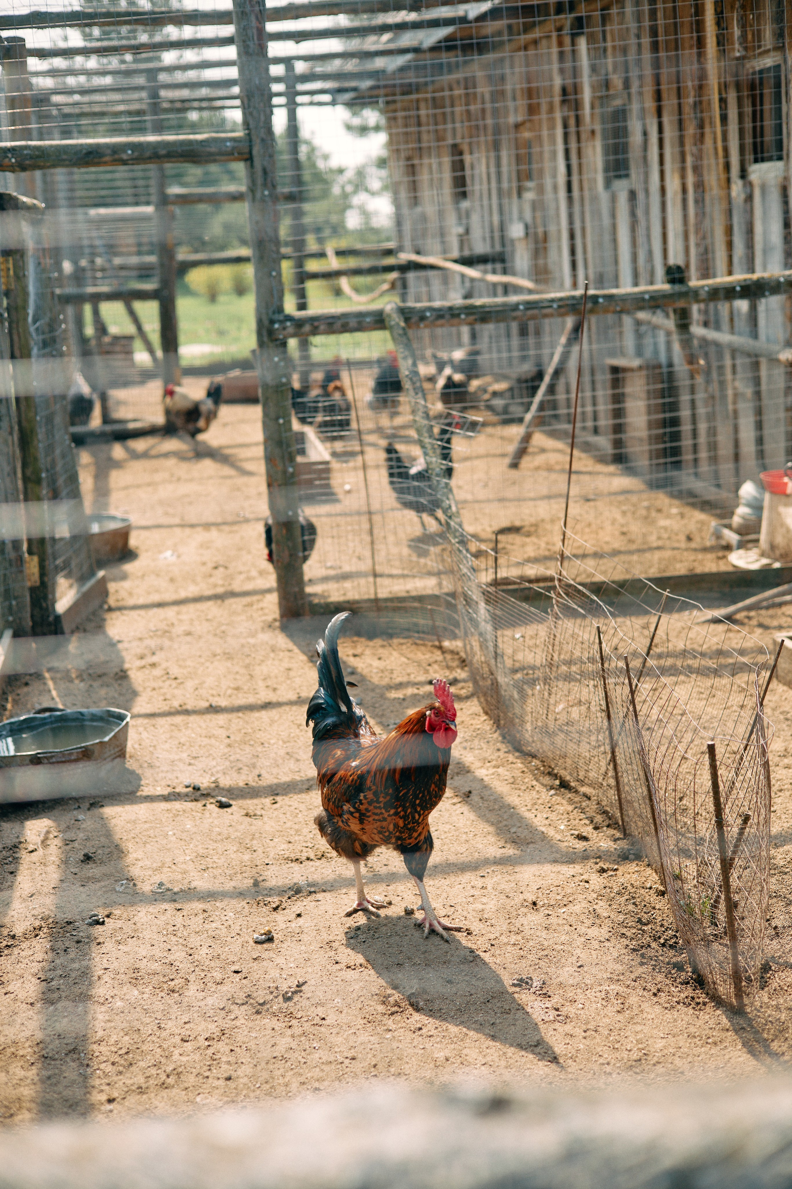 Бутик-отель Поле летом. Профессиональный Фотограф во Владимире, в Москве и в Суздале — Полина Романычева