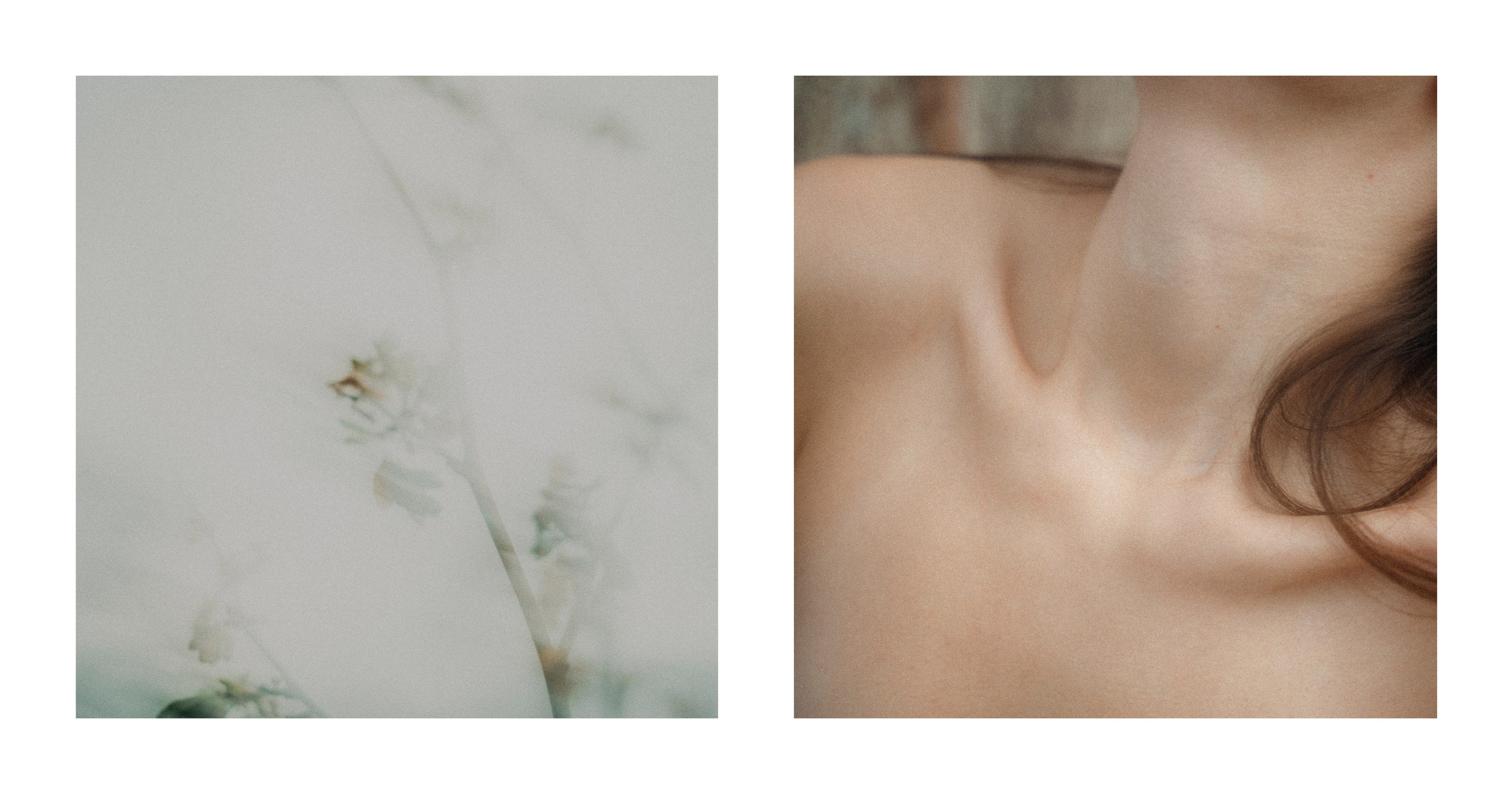 From the inside. VISUAL ARTIST · KRONGAUZ ANASTASIA