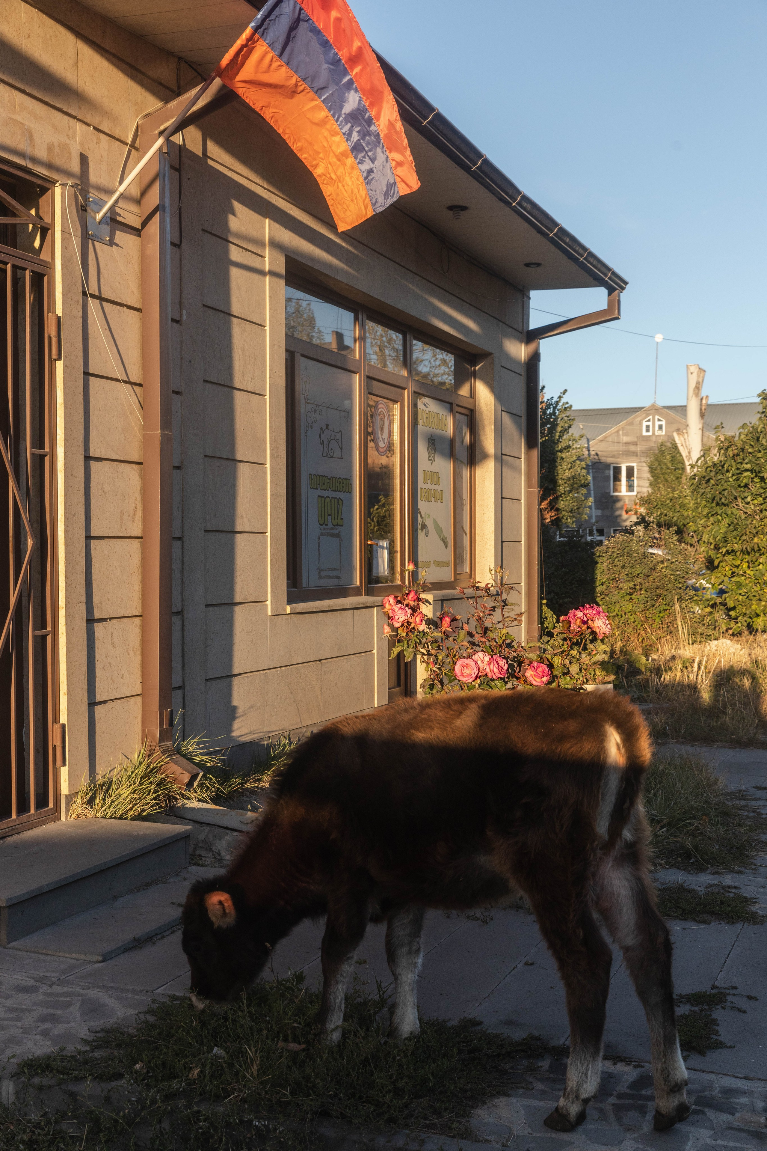 Travel. Фотограф Маша Новодережкина