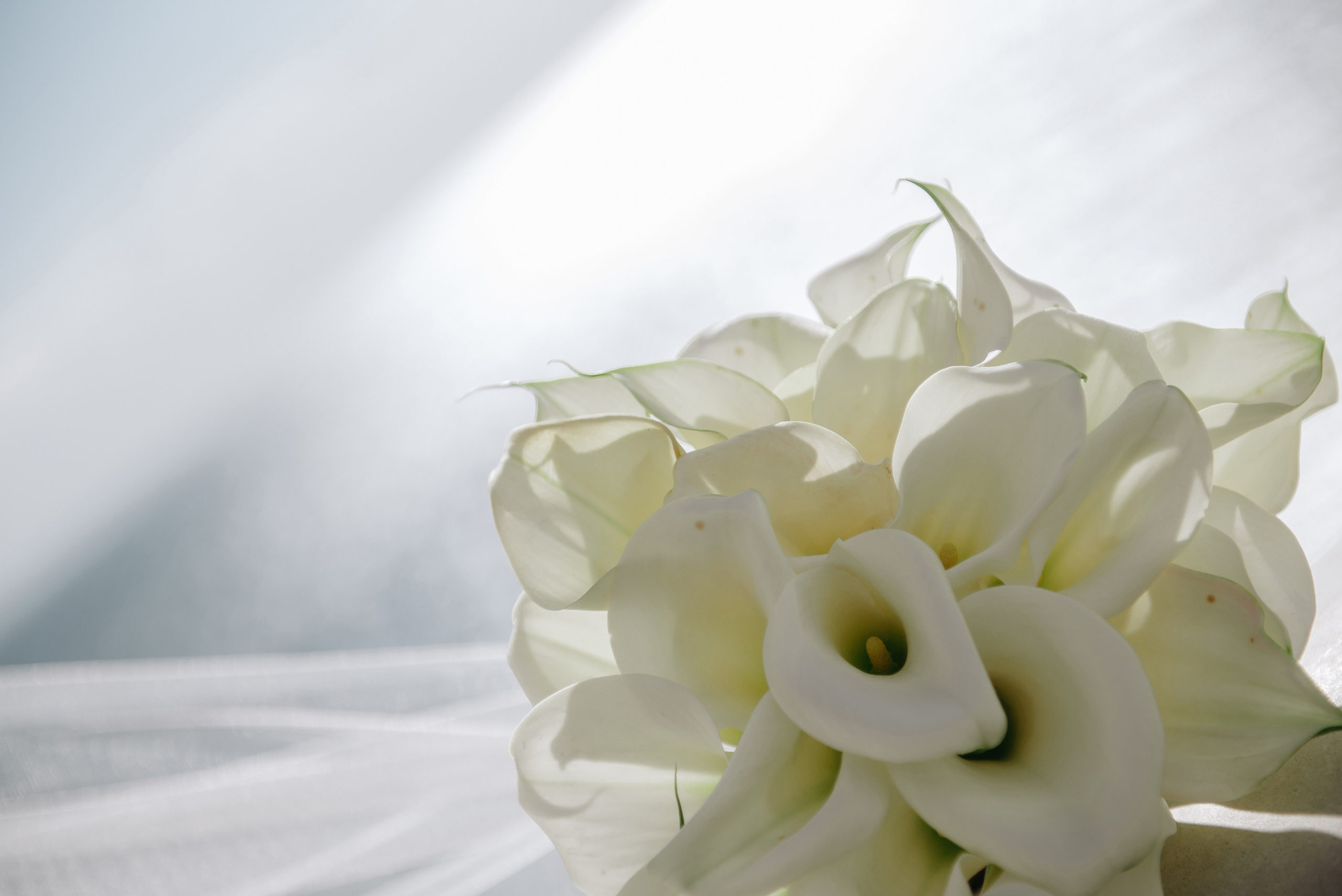 Глеб и Екатерина. Свадебный и семейный фотограф Темрюк Алёна Ковальская