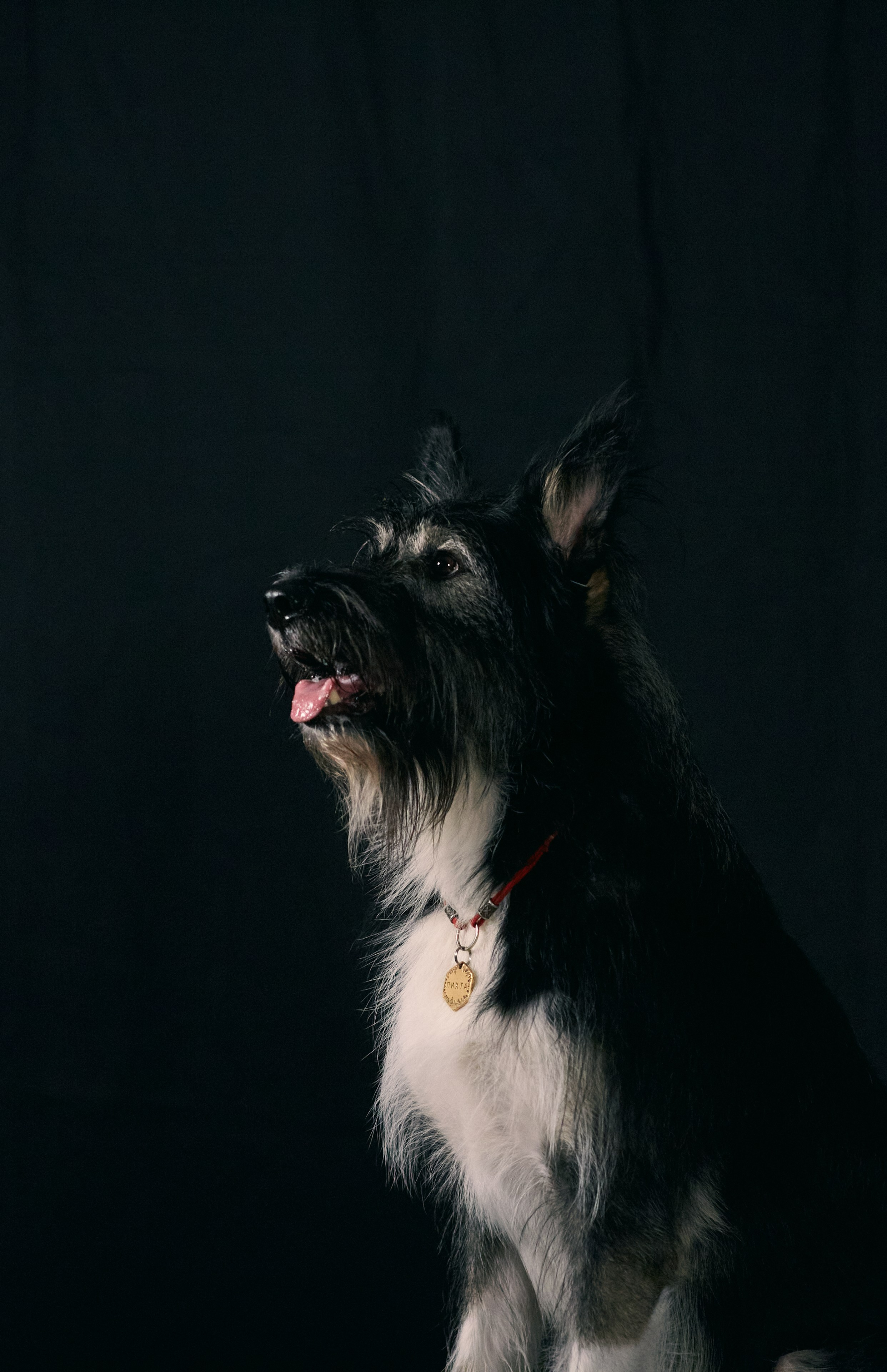 Фотограф-анималист Мартынова Анастасия