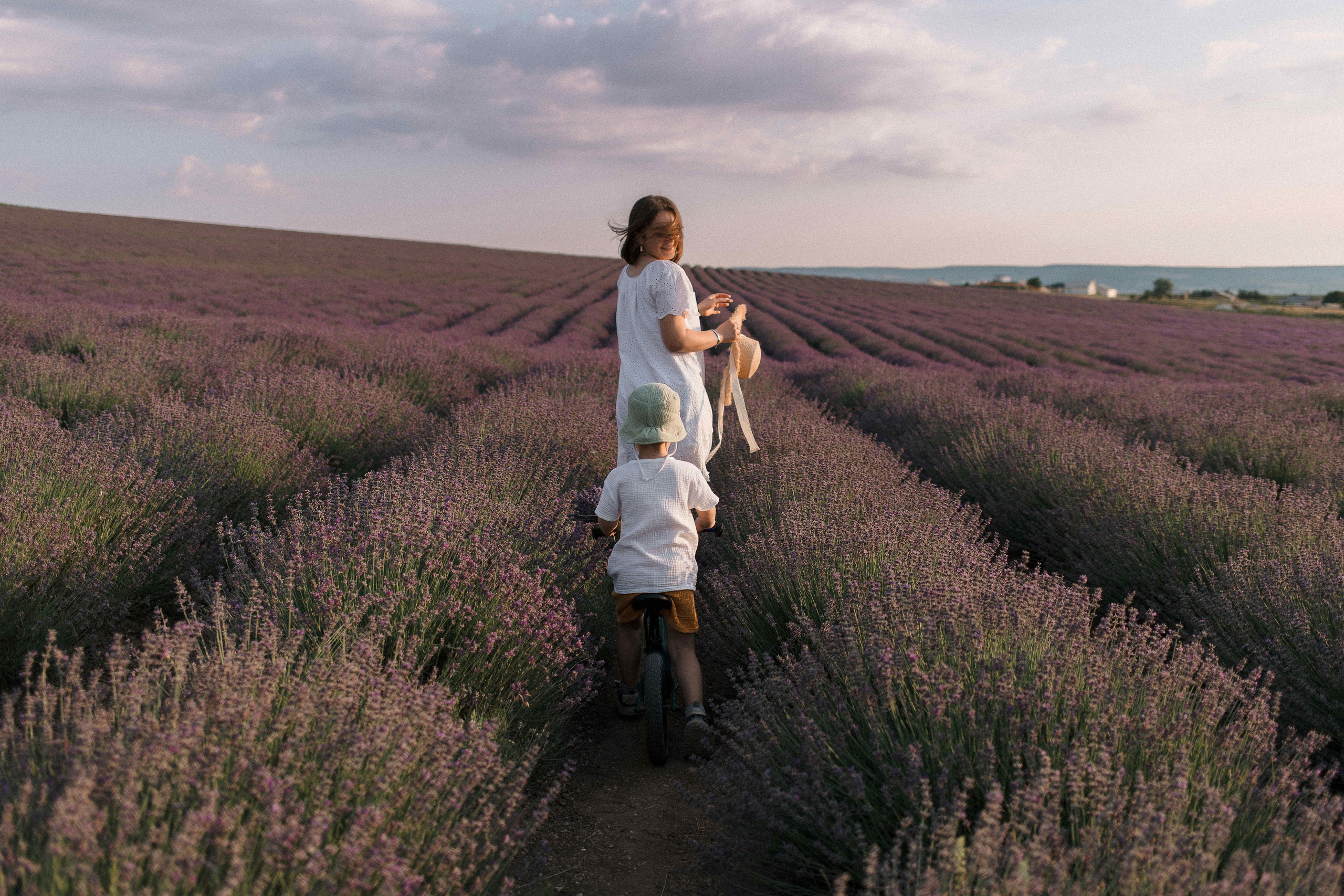 Лаванда. Свадебный фотограф Мироманов Николай в Крыму