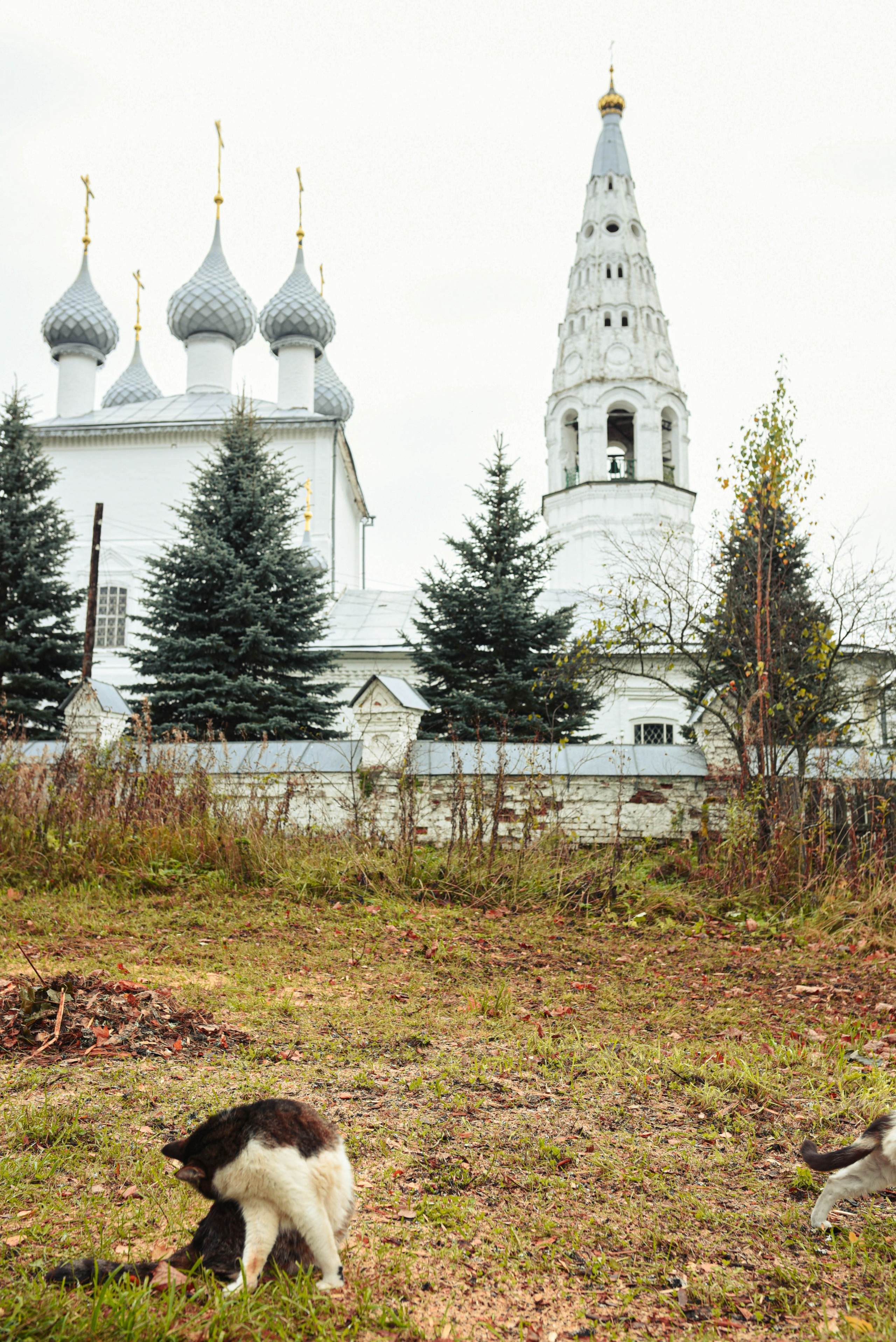 Путешествие по Костромской области 2026 г. Женский и семейный фотограф Людмила Богачкина