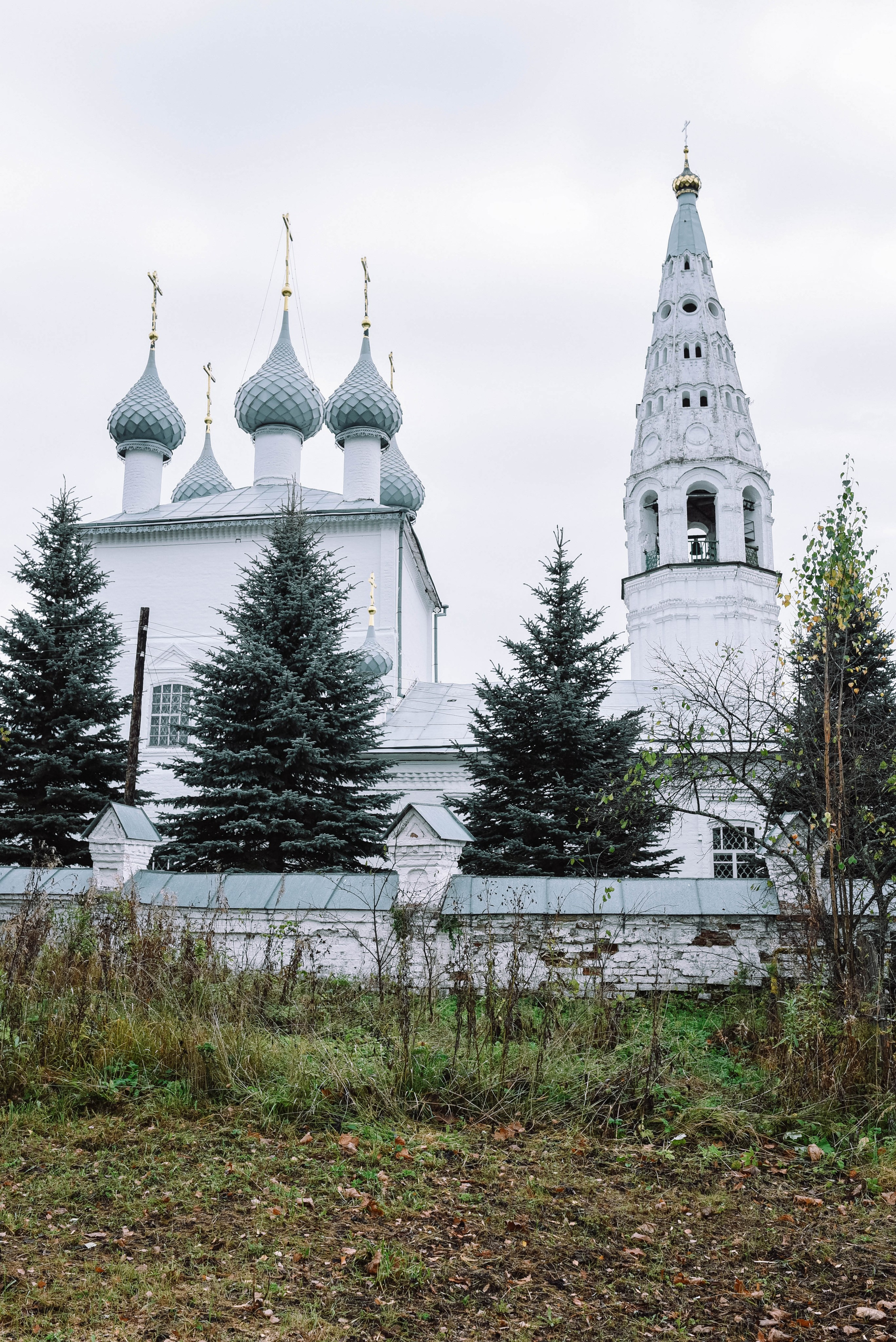 Путешествие по Костромской области 2026 г. Женский и семейный фотограф Людмила Богачкина