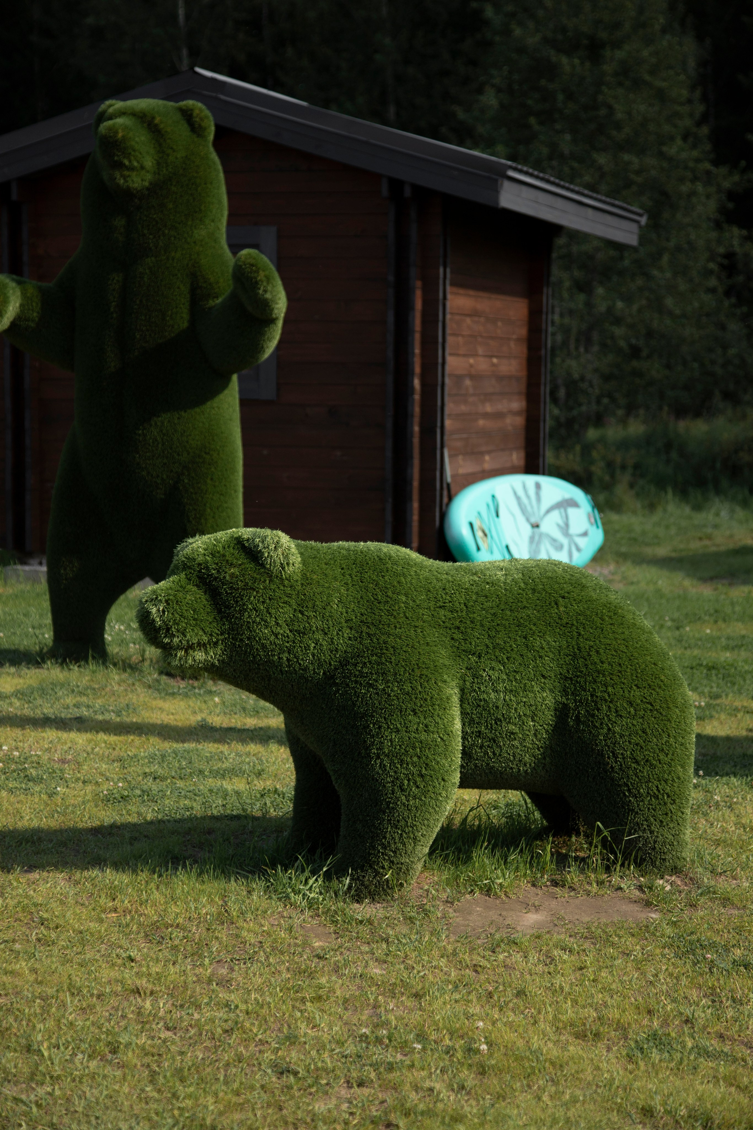 Виталий & Полина