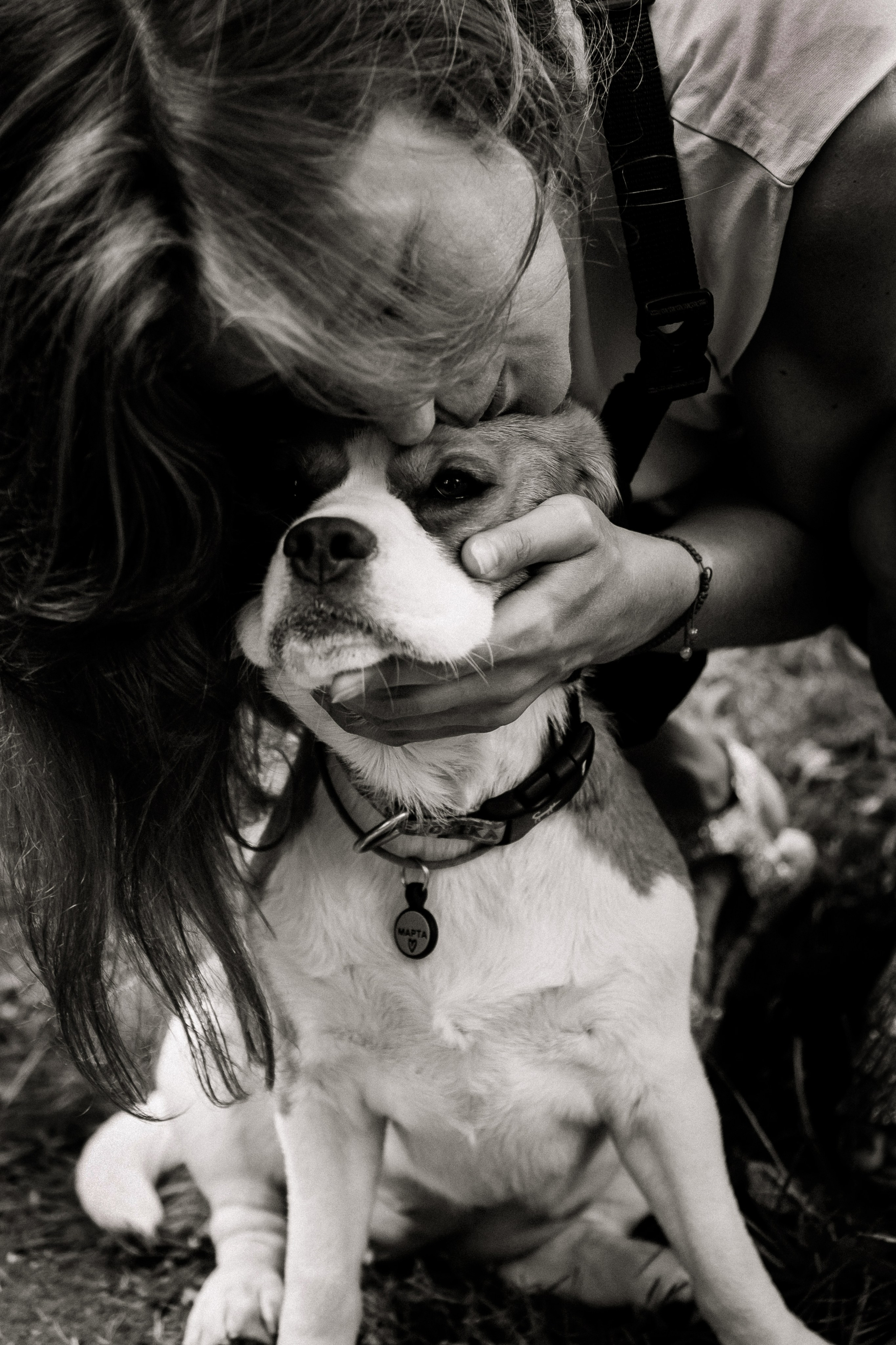 фотосессия с собакой 