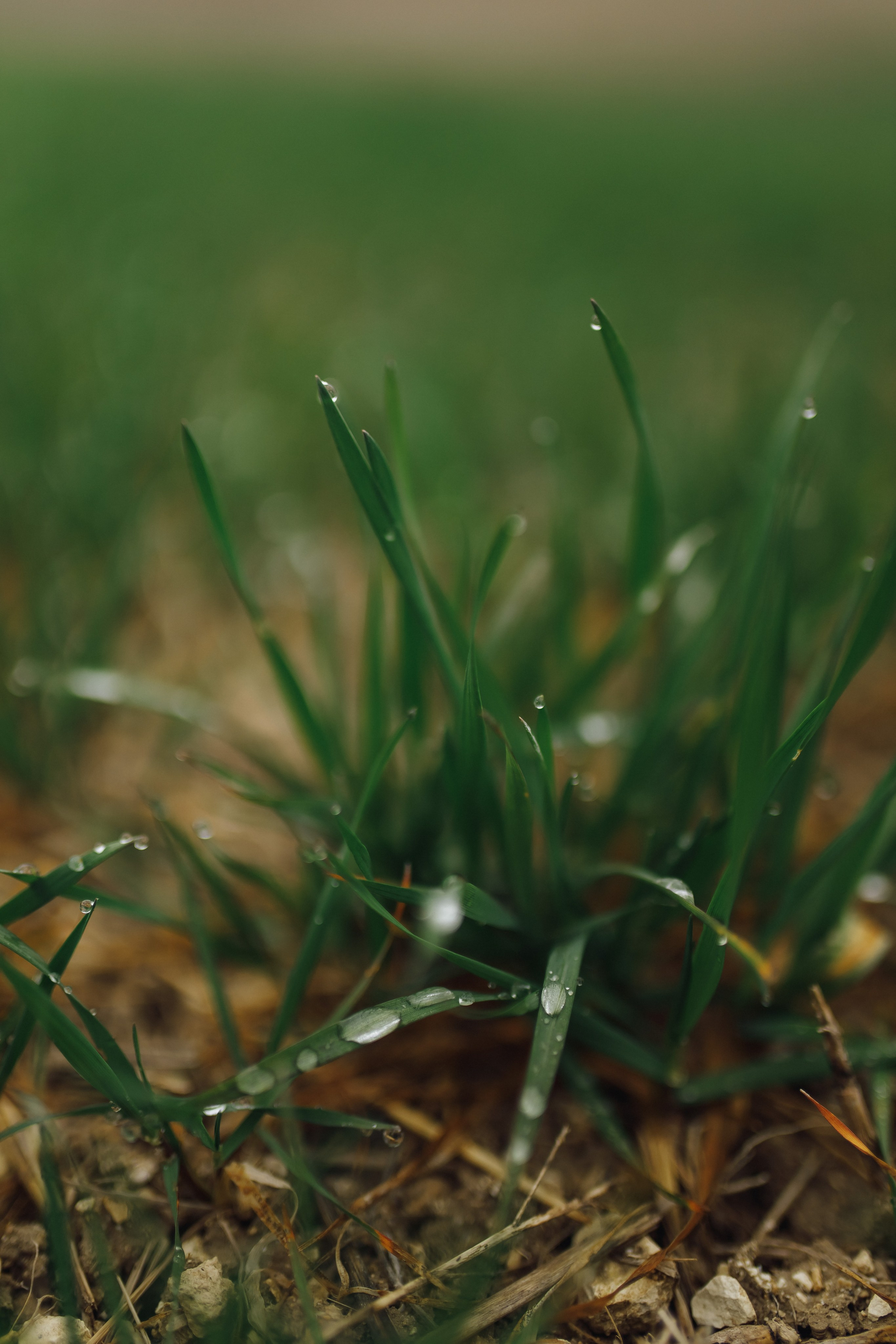 Портретная фотосессия в Крыму и Севастополе: портфолио | Tanya Sher. Свадебный фотограф в Севастополе и Крыму| Tanya Sher