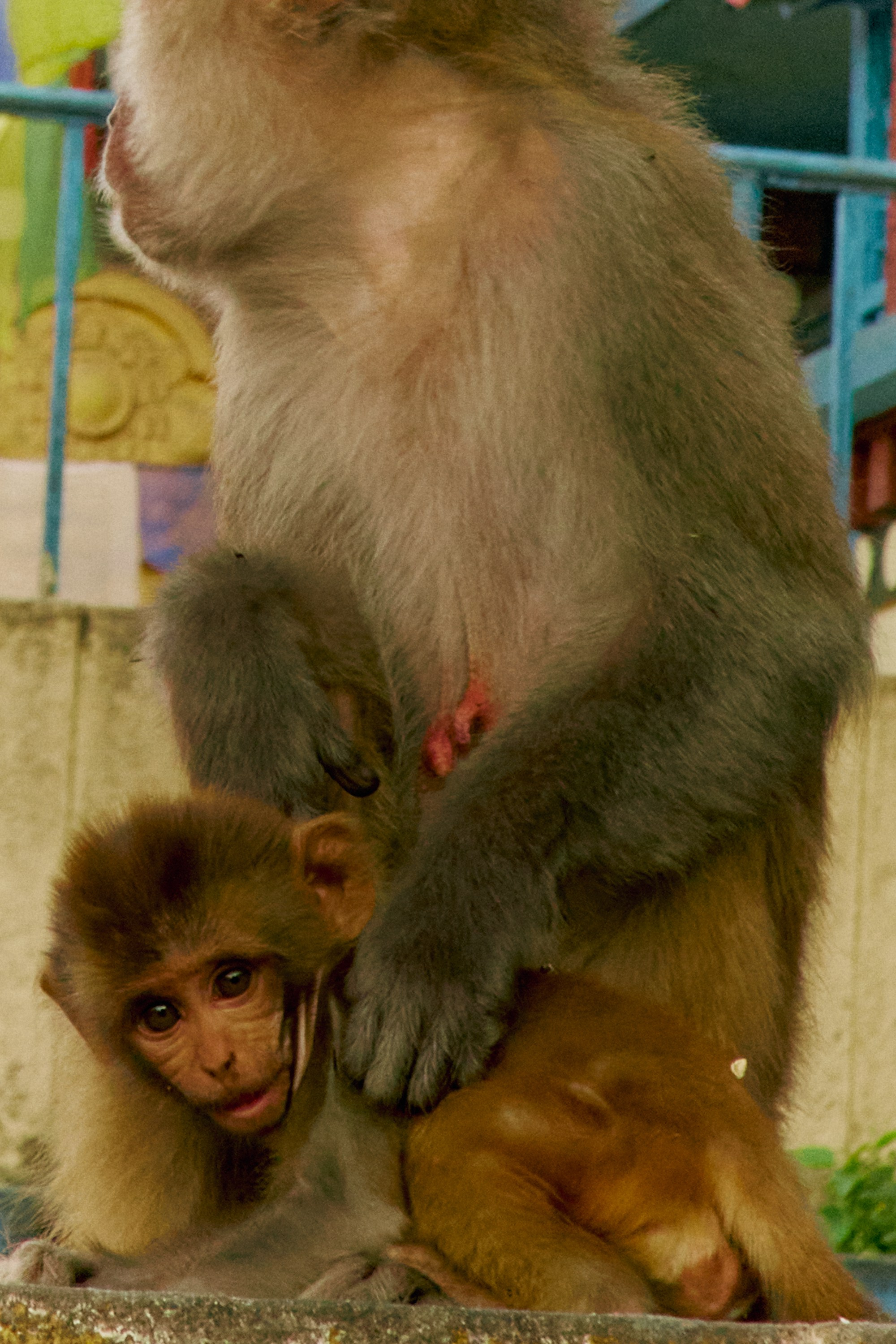 TRAVEL. EVGENYA PERESADOVA