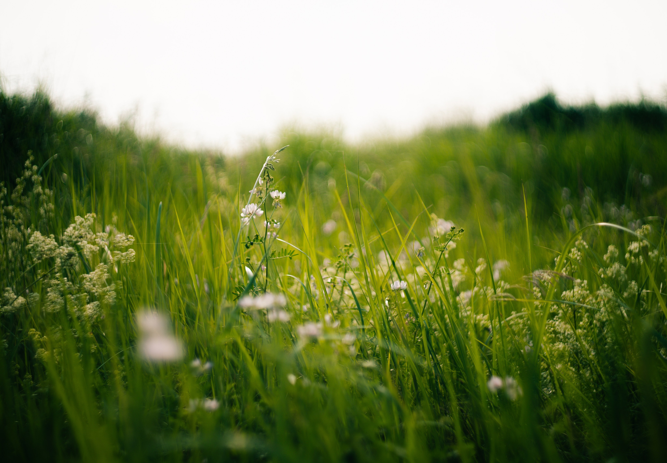 Wallpapers. Фотограф Казань