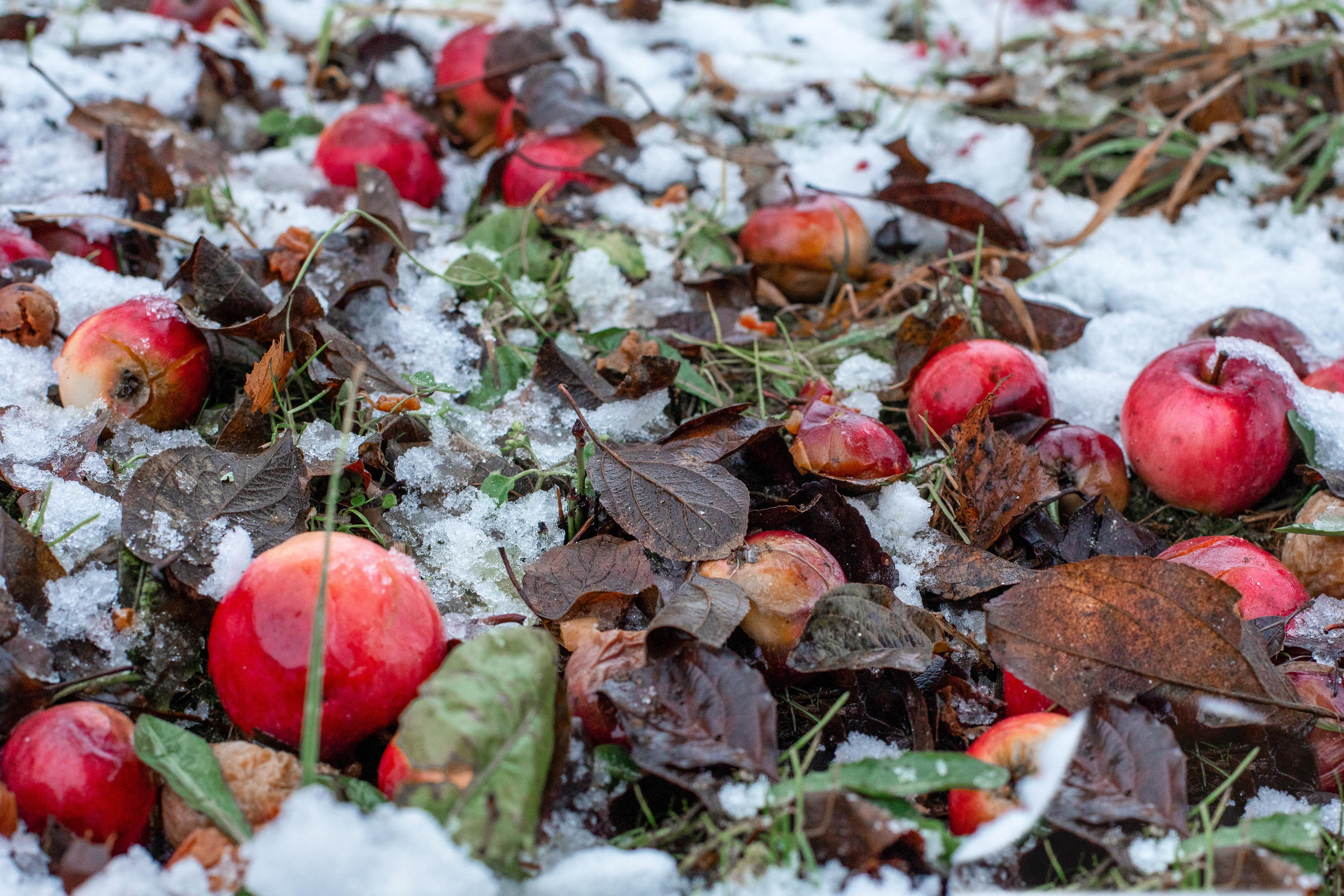 Тверская Карелия. Женский семейный фотограф Тула Москва Захарова Анна