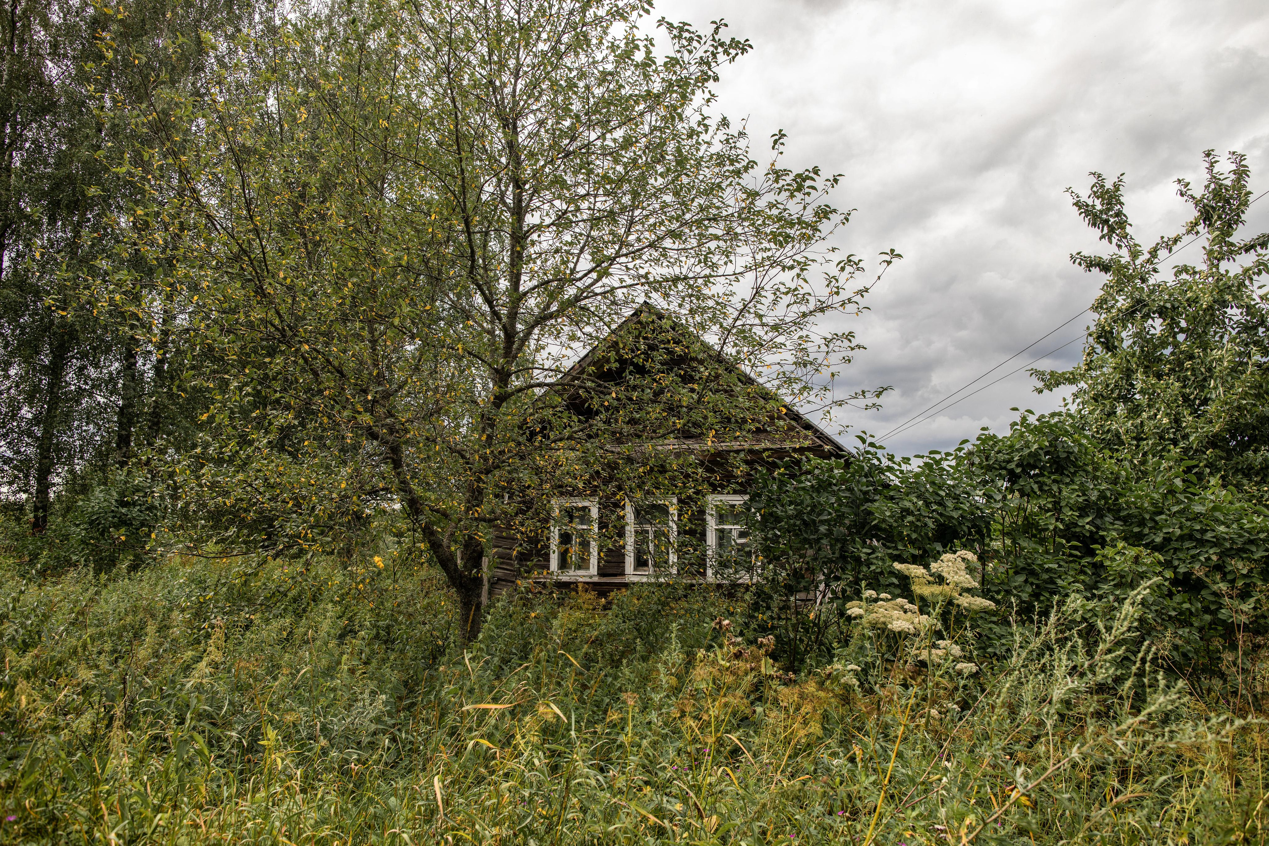 Тверская Карелия. Женский семейный фотограф Тула Москва Захарова Анна