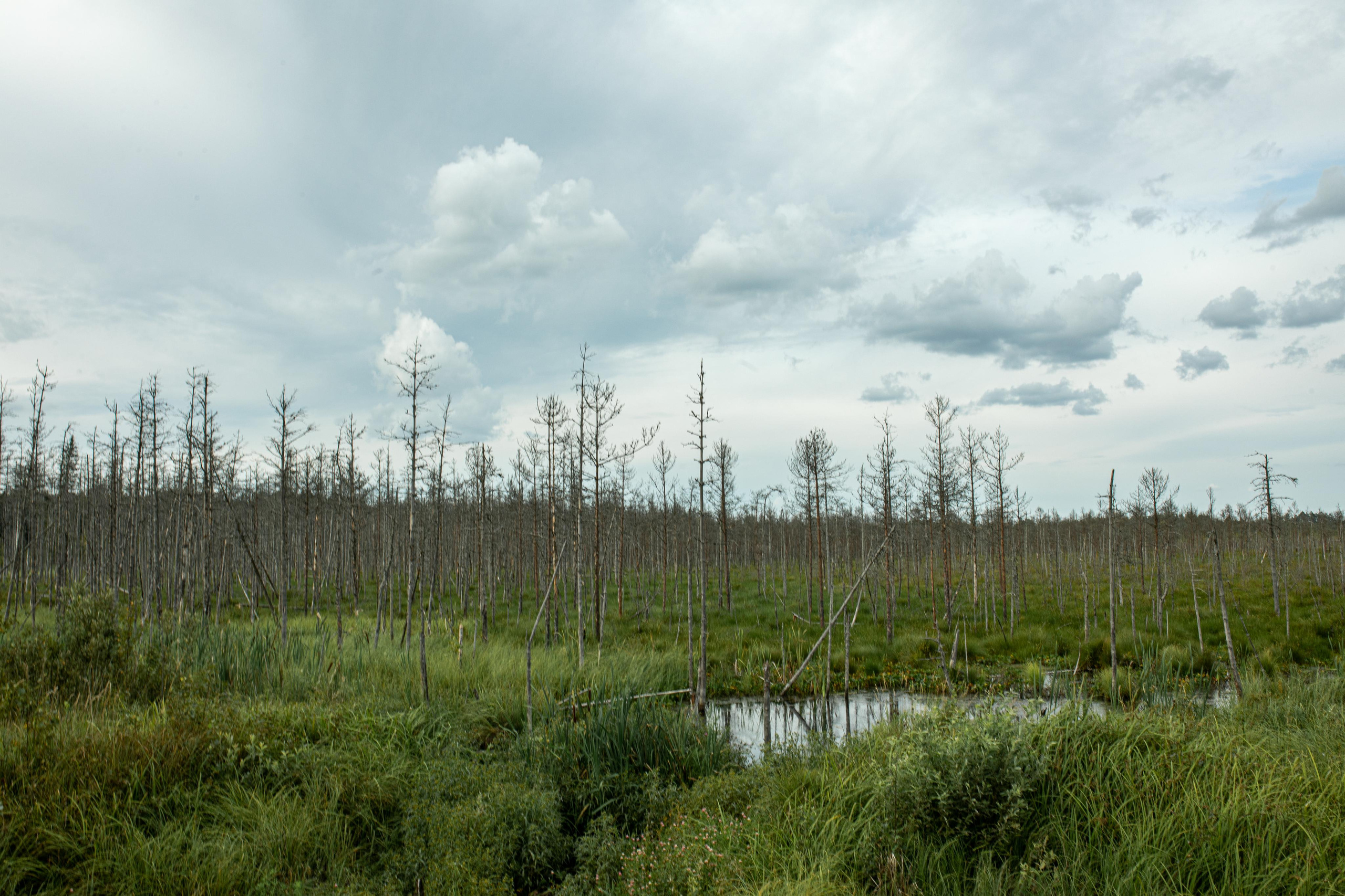 Тверская Карелия. Женский семейный фотограф Тула Москва Захарова Анна