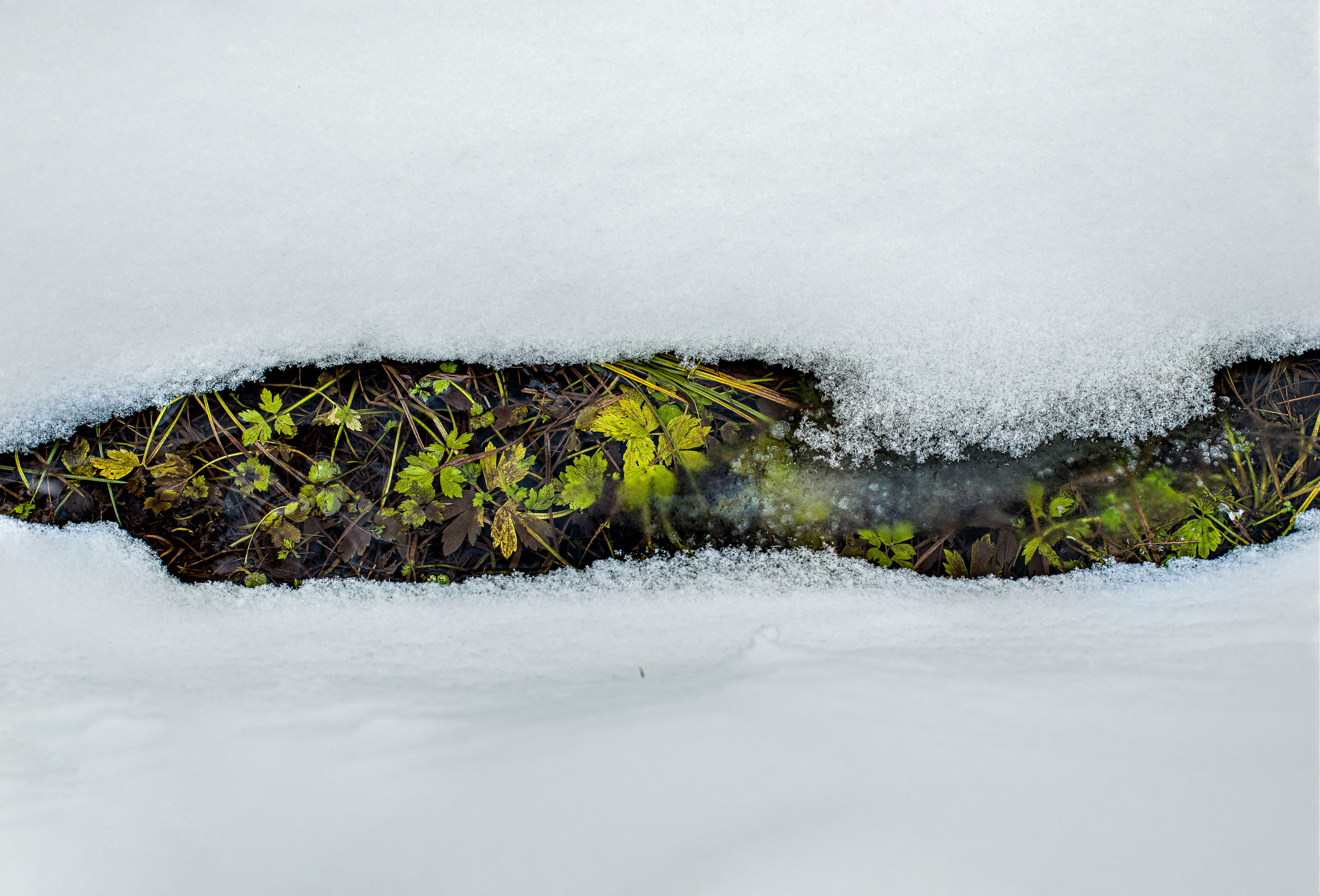 Тверская Карелия. Женский семейный фотограф Тула Москва Захарова Анна