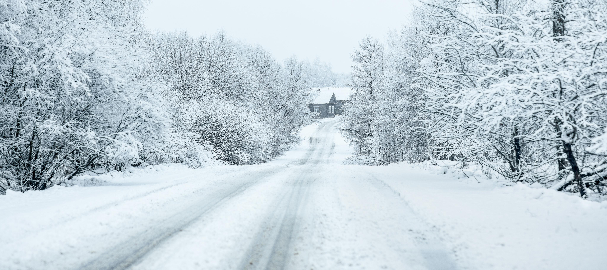 Тверская Карелия. Женский семейный фотограф Тула Москва Захарова Анна