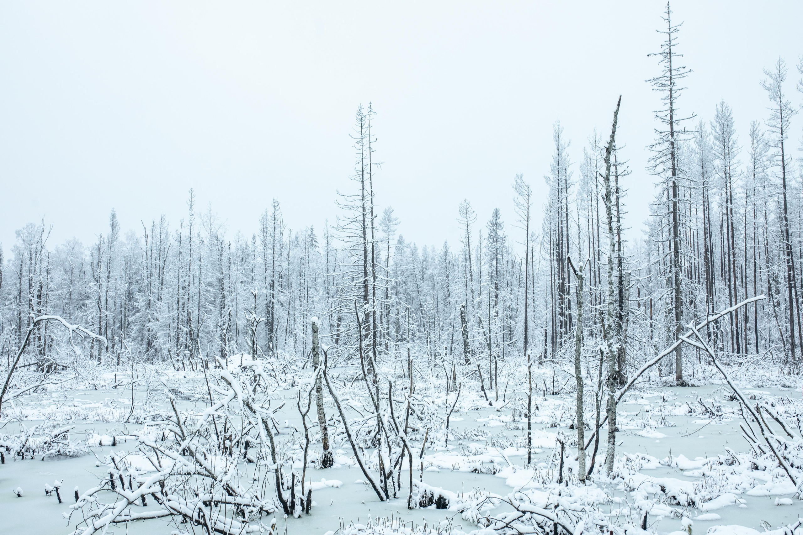 Тверская Карелия. Женский семейный фотограф Тула Москва Захарова Анна