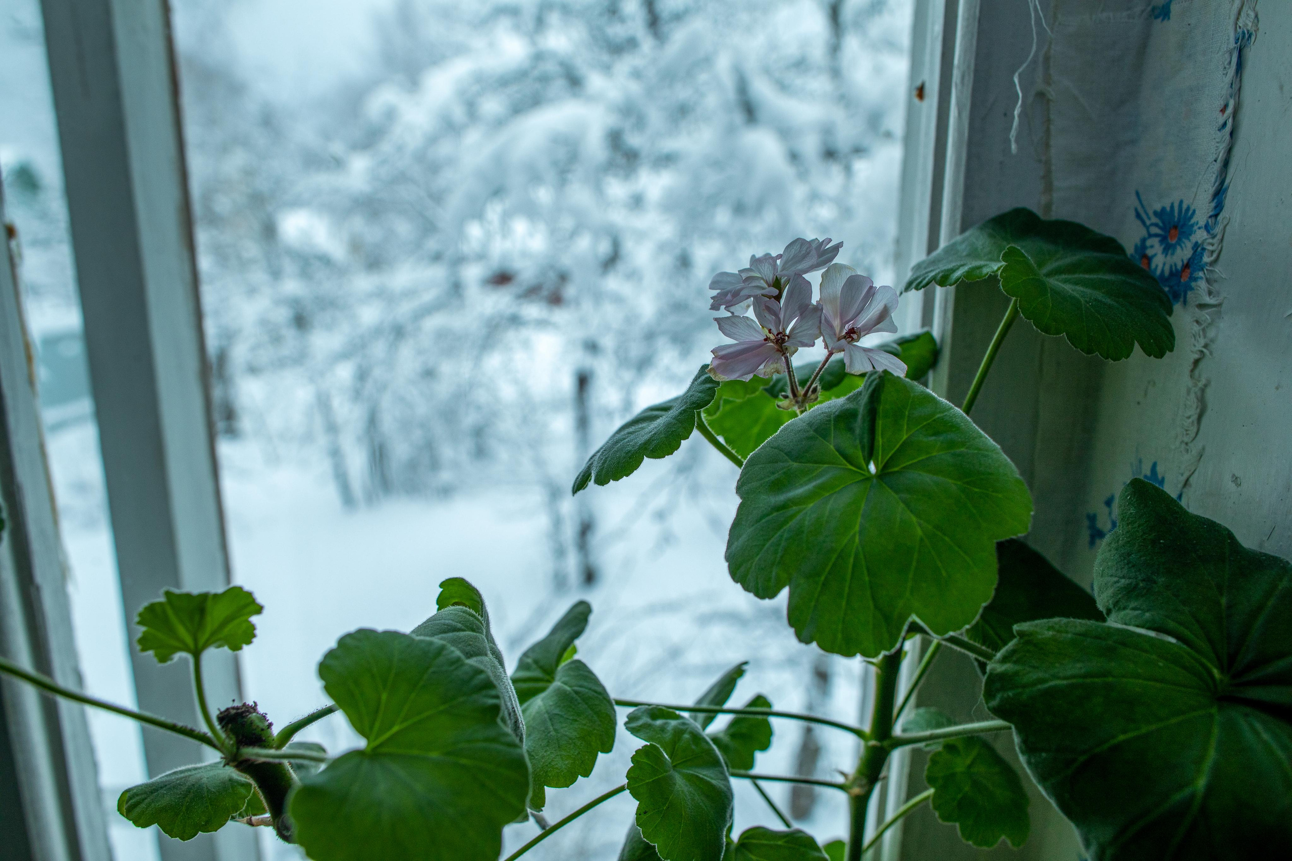 Тверская Карелия. Женский семейный фотограф Тула Москва Захарова Анна